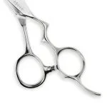 ERGO-D-CLOSEUP-150x150.webp