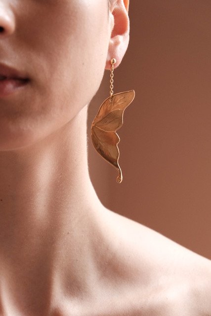 LISSI Collaboration C.Gavazzi-4.JPEG