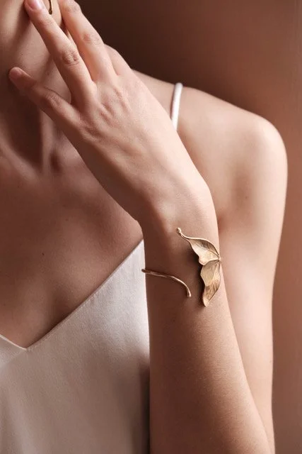 LISSI Collaboration C.Gavazzi.JPEG