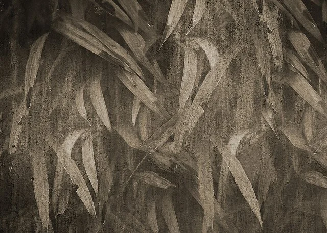 WALLPAPER -1.jpeg
