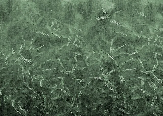 WALLPAPER -5.jpeg