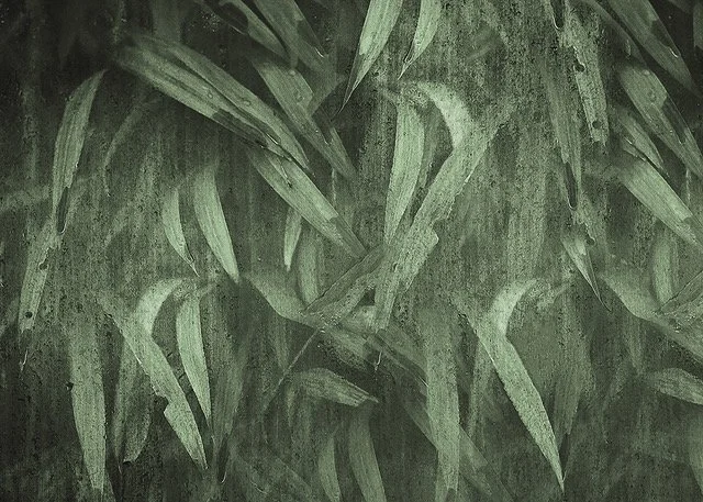 WALLPAPER -2.jpeg