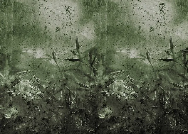WALLPAPER -7.jpeg