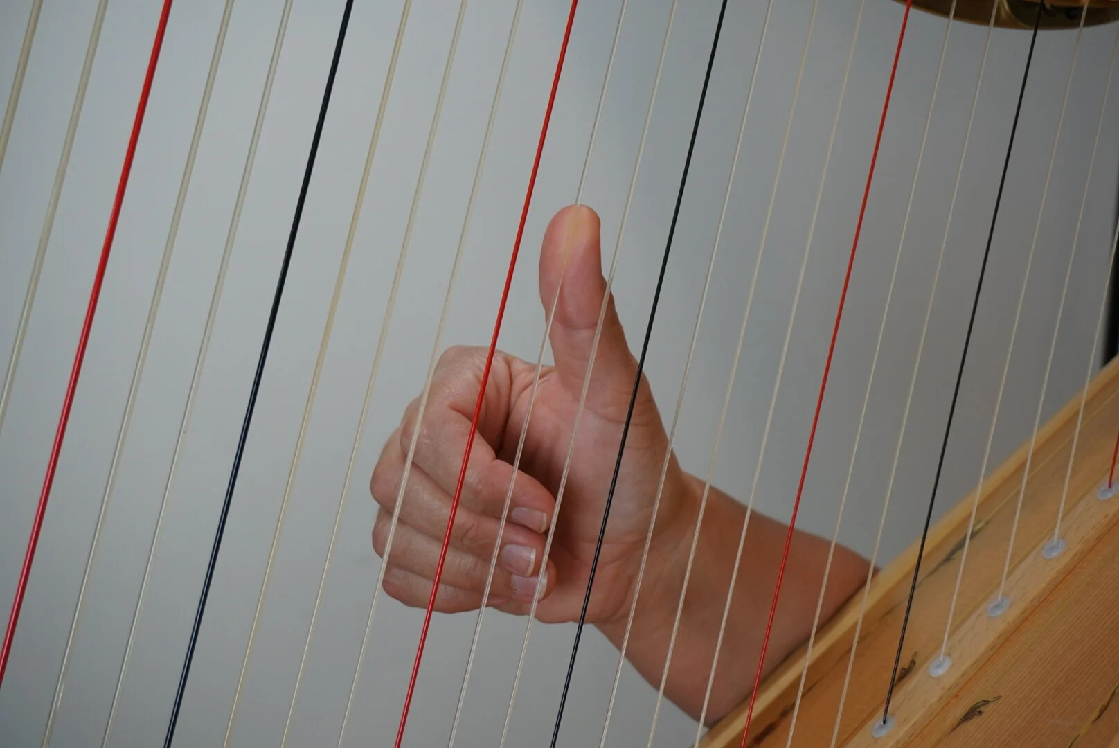 AP RH 2 w 1 anchor.JPG