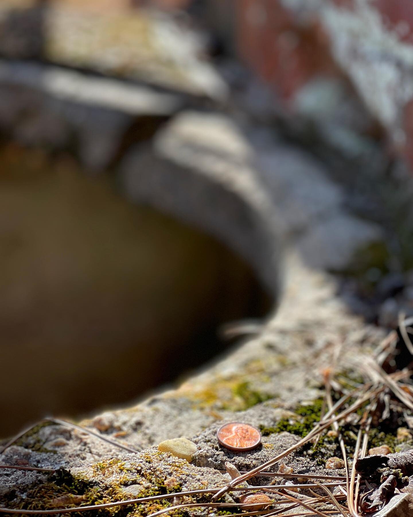 Wish me love a wishing well to kiss and tell&hellip;
➖
#urbex #wishingwell #urbanphotography