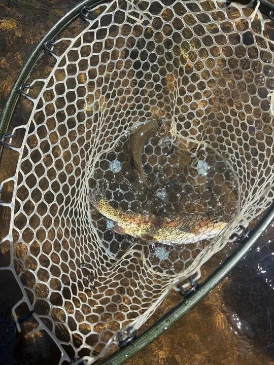 R4R Women's Event 2025_22.jpeg