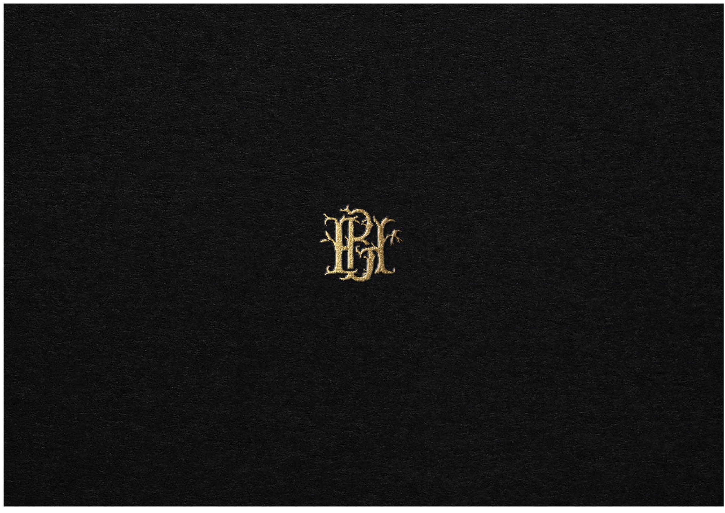 BLACKHOUND Case Study-11.jpg