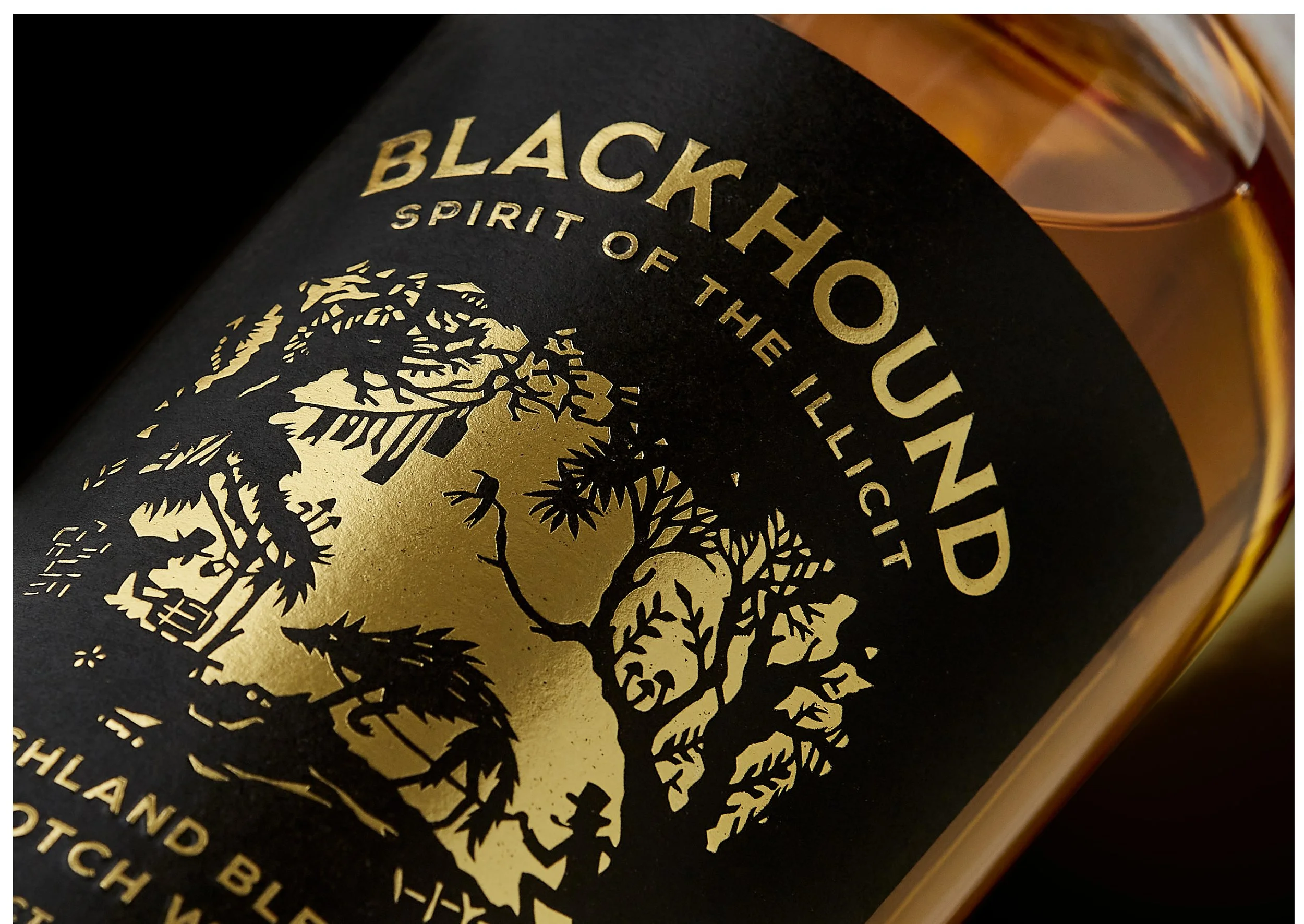 BLACKHOUND Case Study-02.jpg