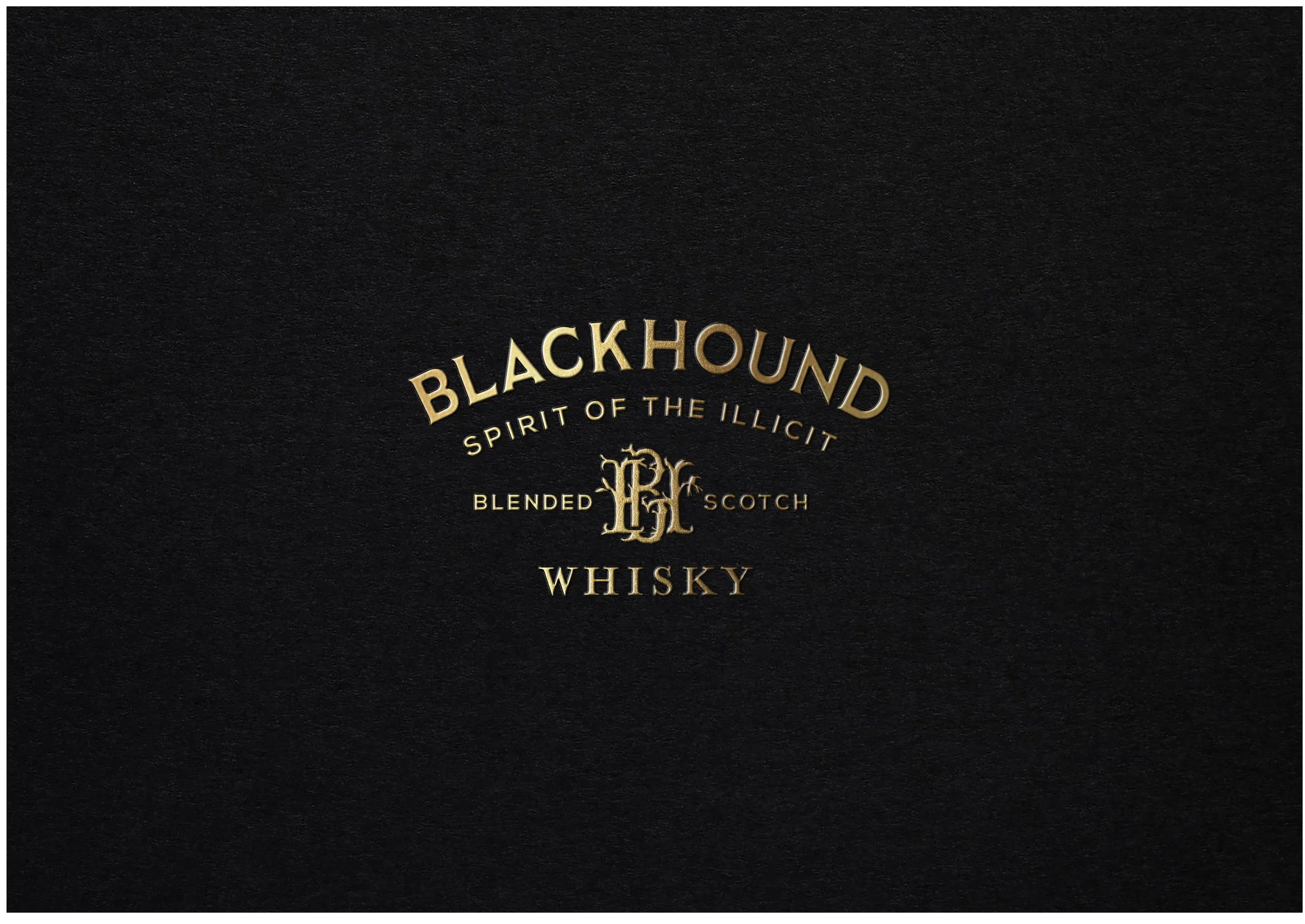 BLACKHOUND Case Study-01.jpg