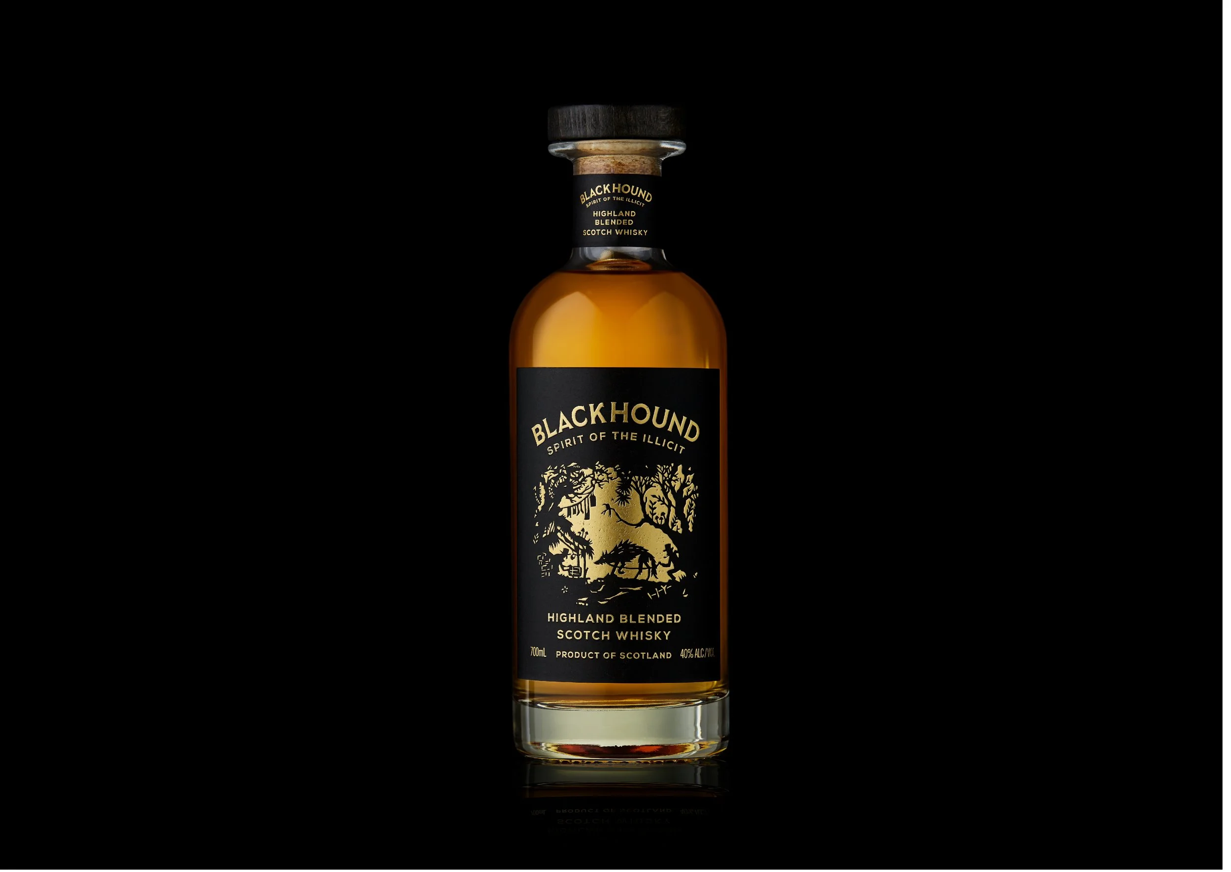 BLACKHOUND Case Study-05.jpg