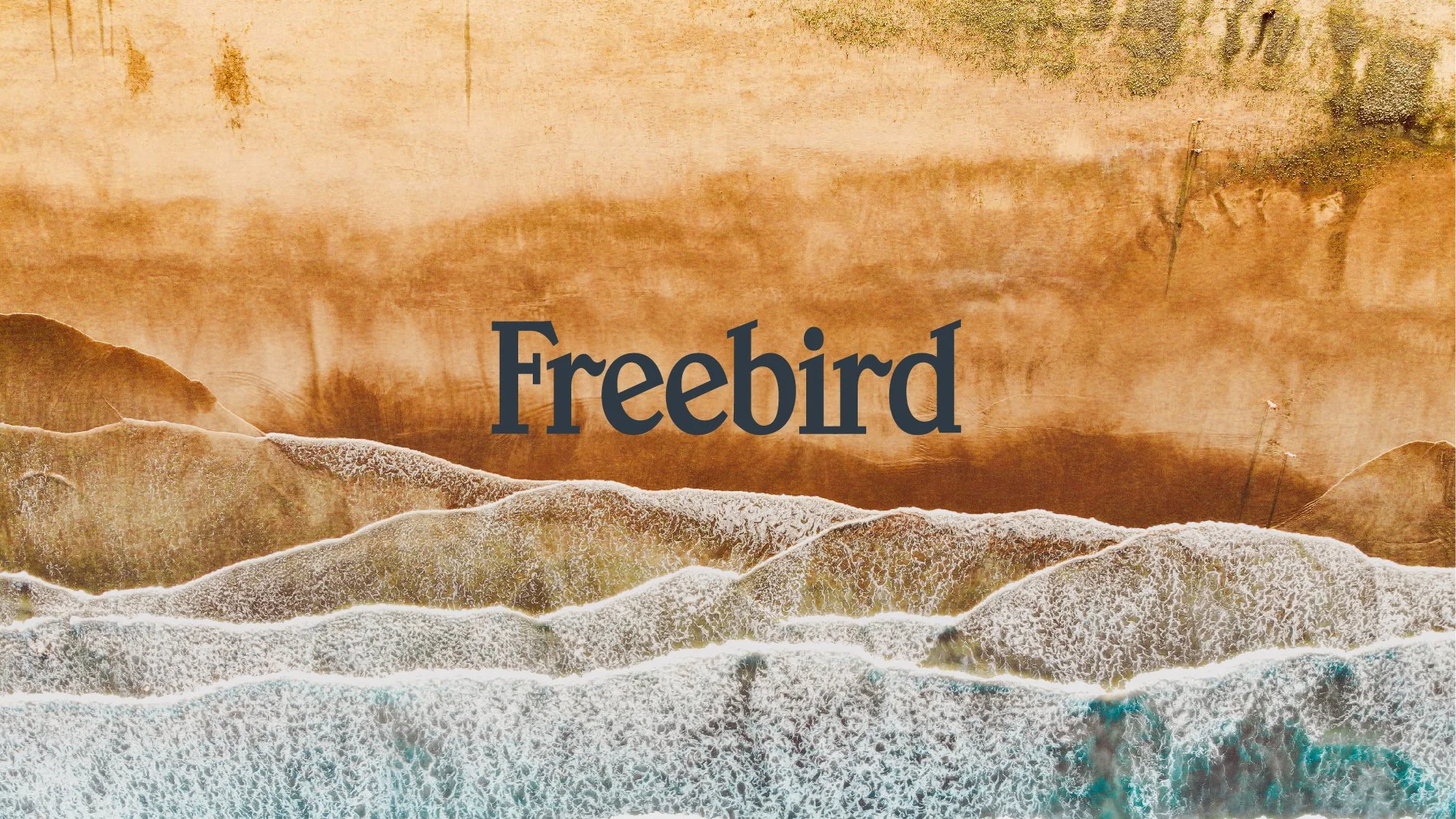 Freebird Case Study-01.jpg