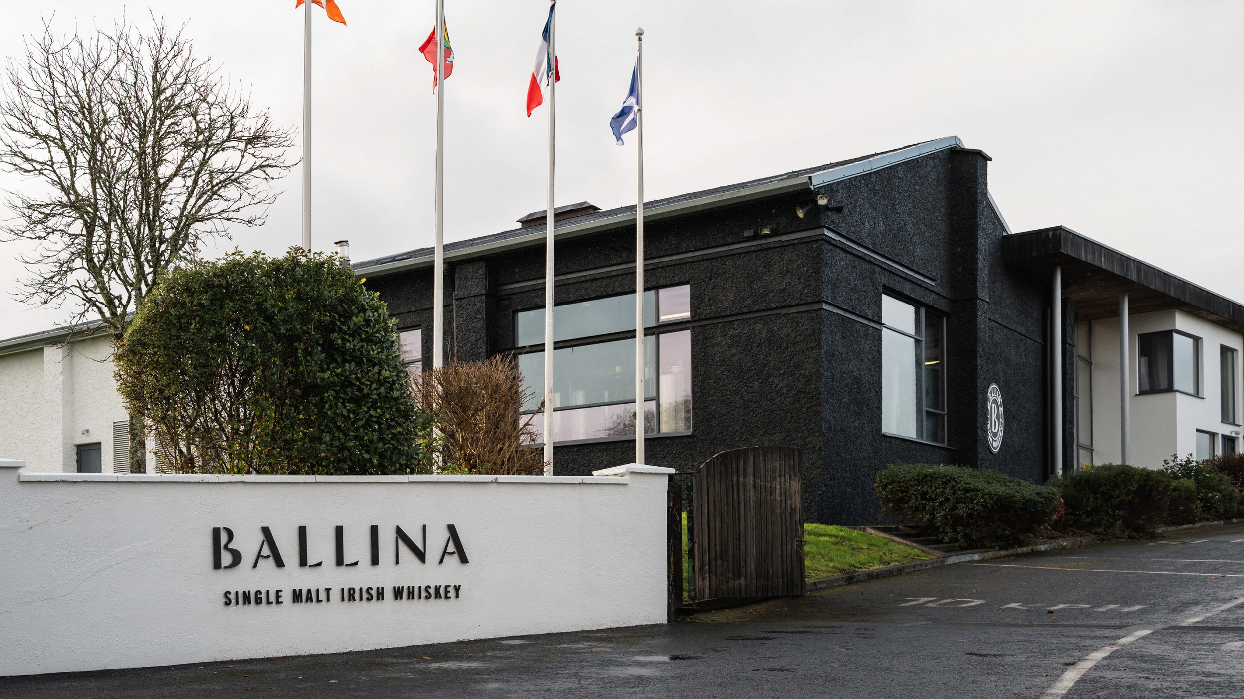 Ballina Whisky Case Study-17.jpg