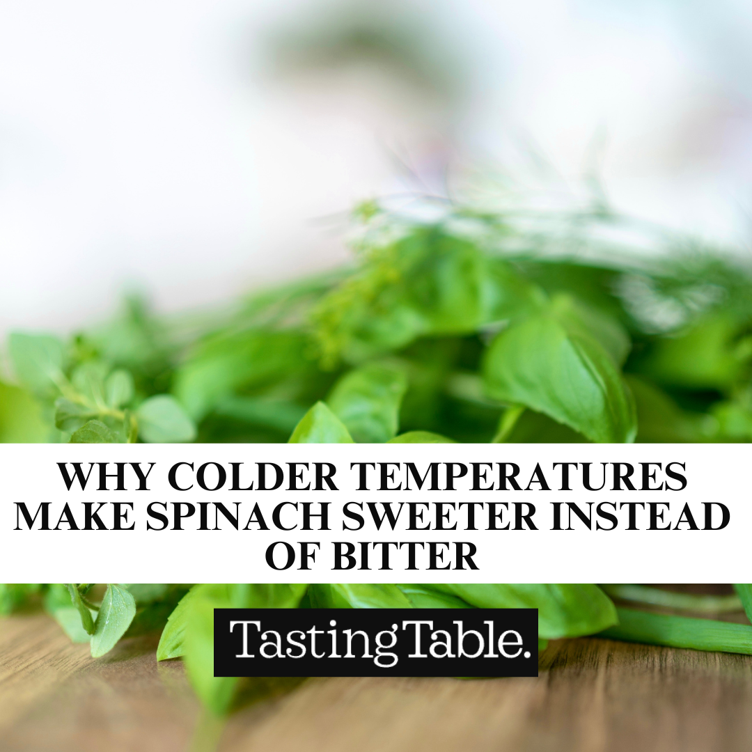 Why Colder Temperatures Make Spinach Sweeter Instead Of Bitter