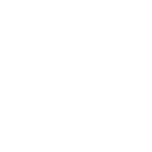 Marc Stallion