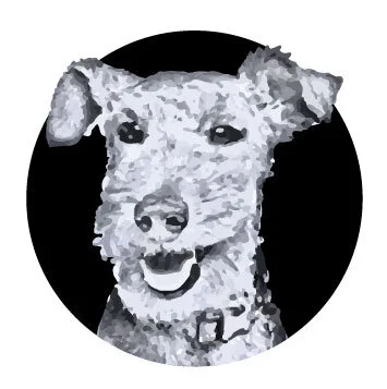 Astra. Never ran for office. Only after balls.