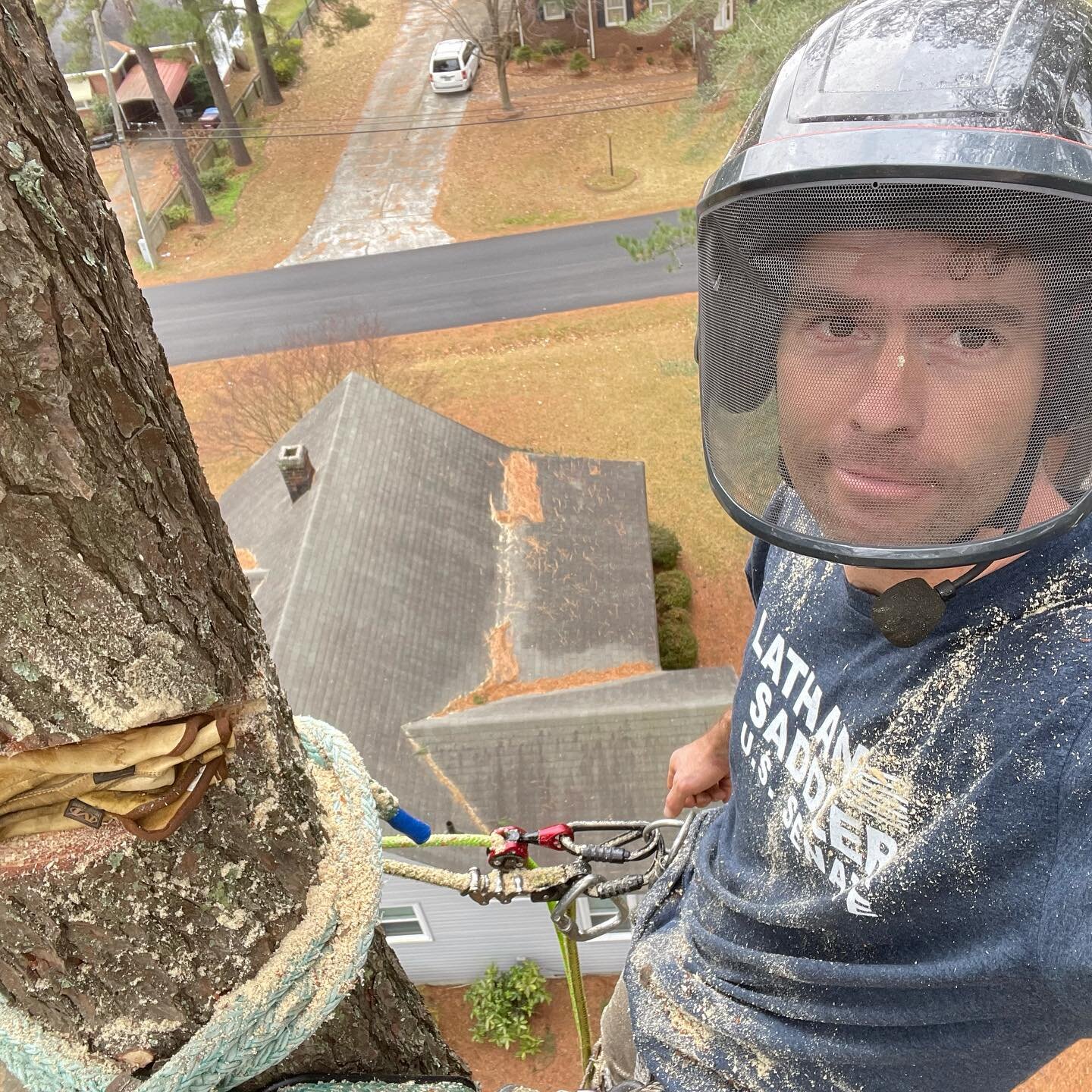 Multiple pines endangering Chesapeake home&hellip;removal via some traditional stem rigging.