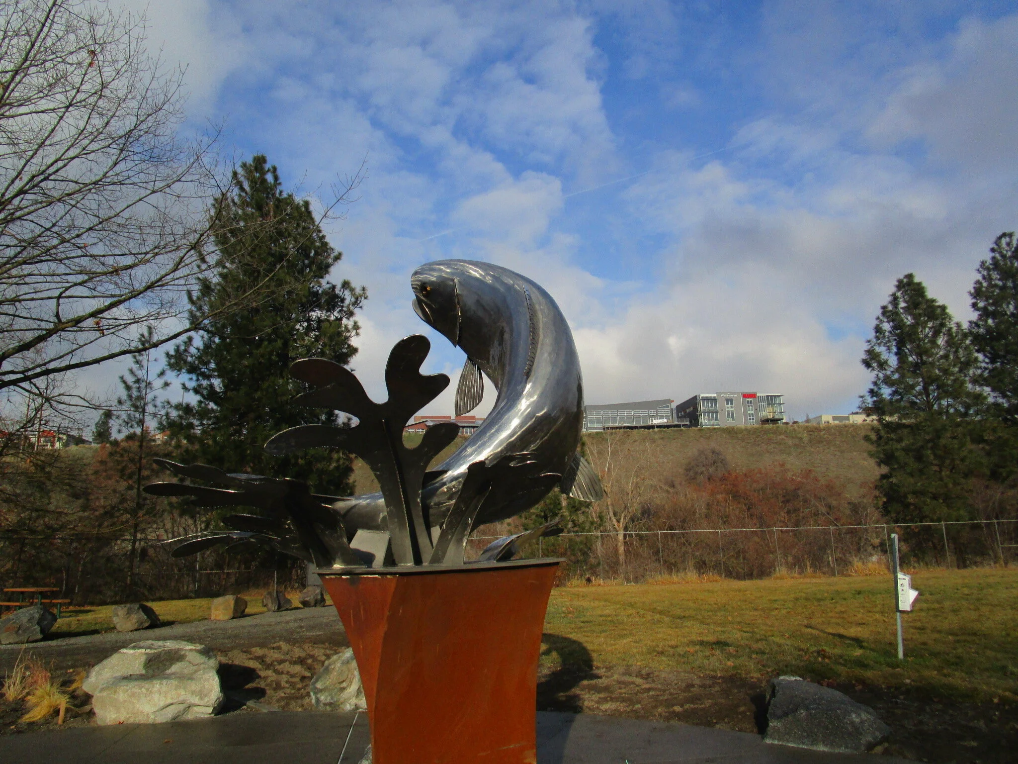 Global Water Dance project Started