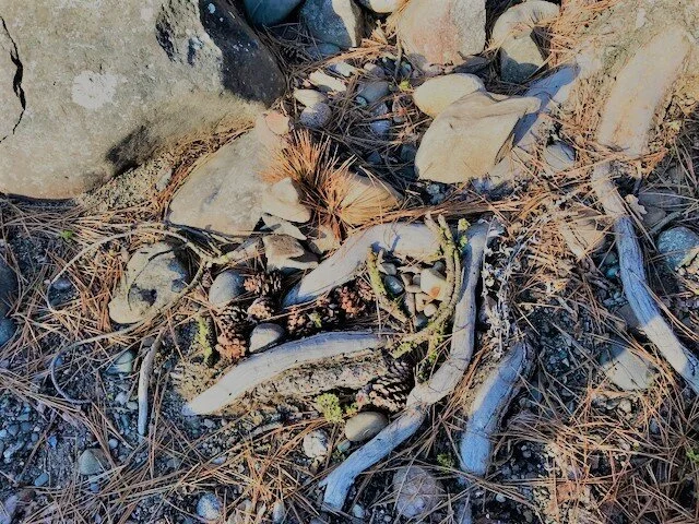 Water and Rock -co-creating in nature - Feb 16th