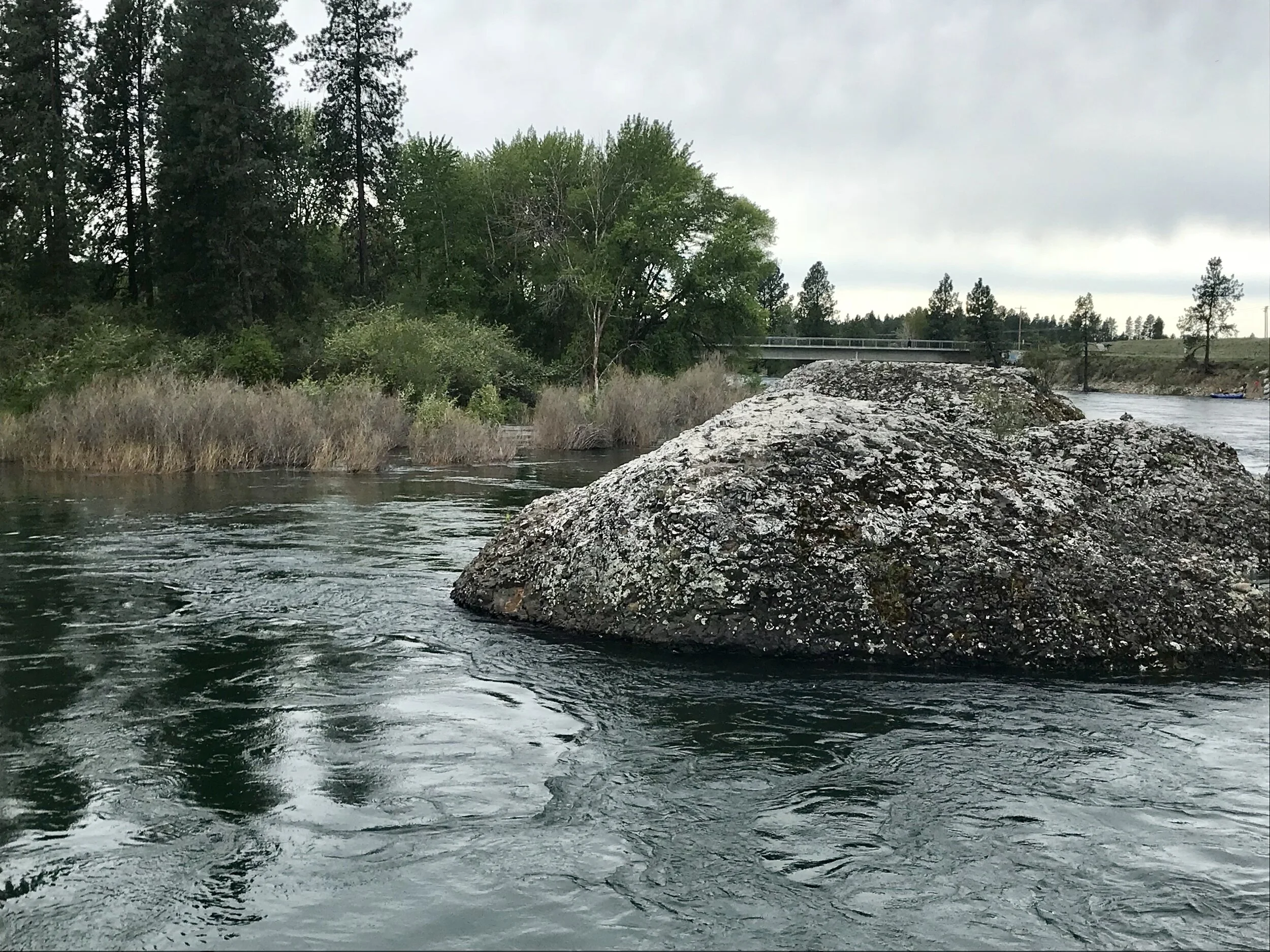 Making practical use of poetry  