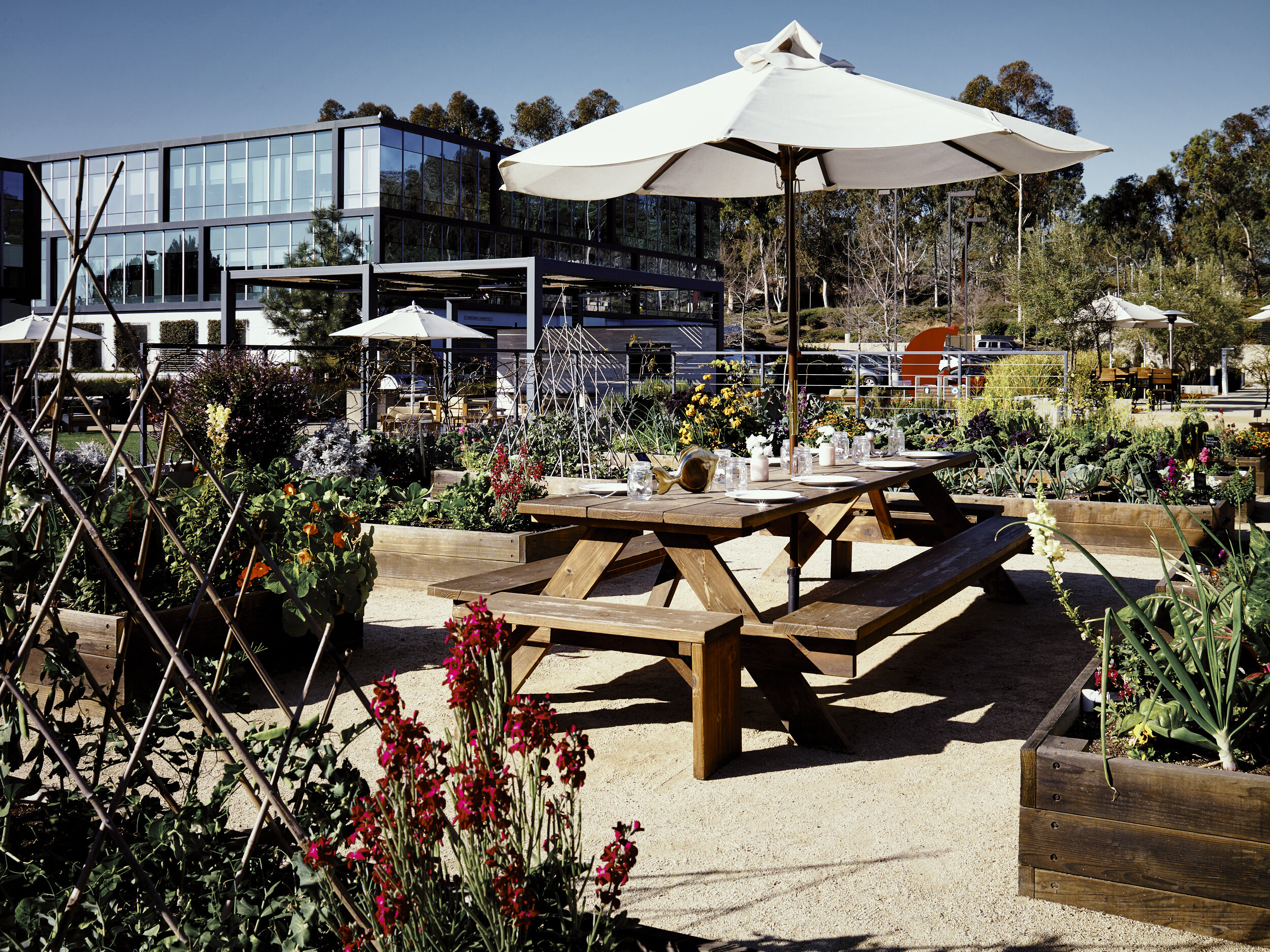 Greenacres herb garden, San Diego, California