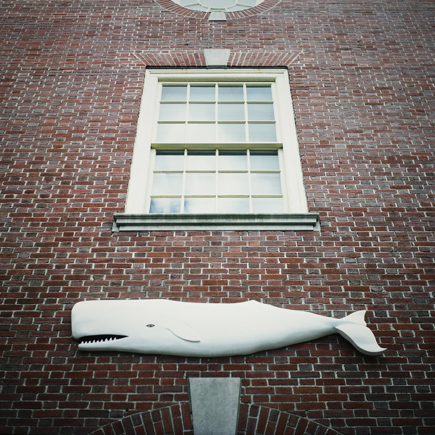New London, Connecticut Whaling Museum exterior, rolleiflex camera, kodak Portra film