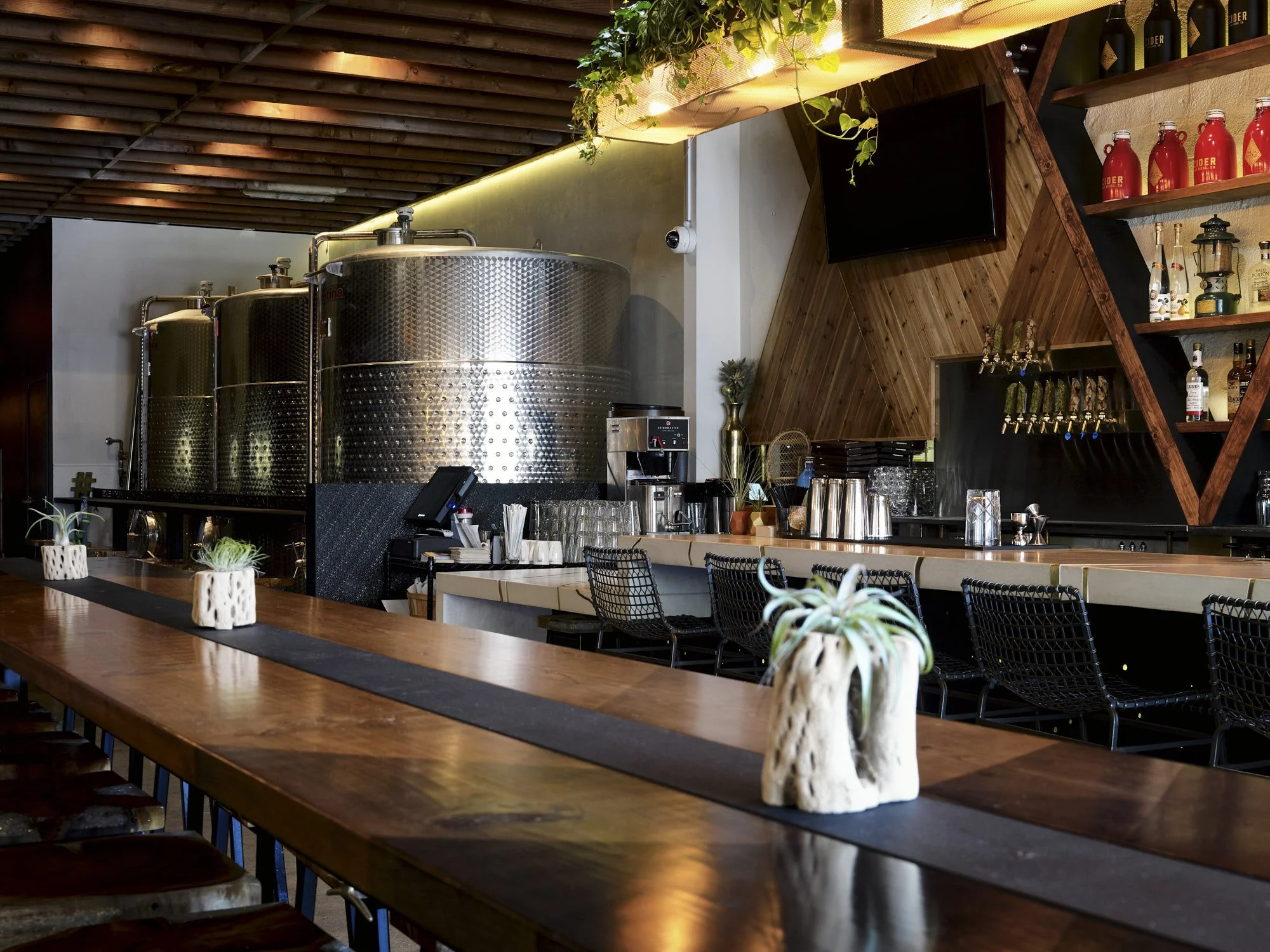 Bivouac Cidery, San Diego, CLTVT