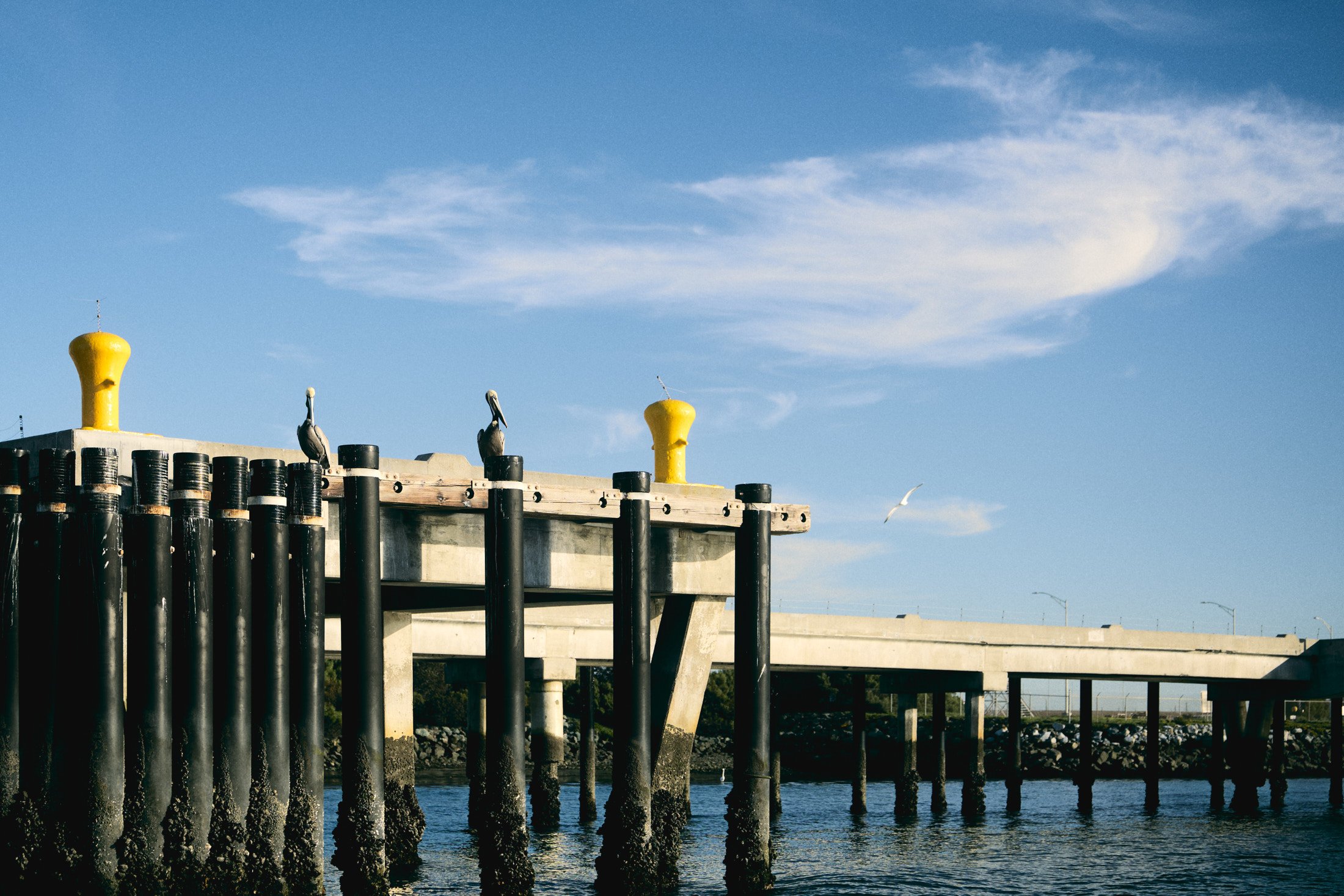 North Island San Diego bay pier