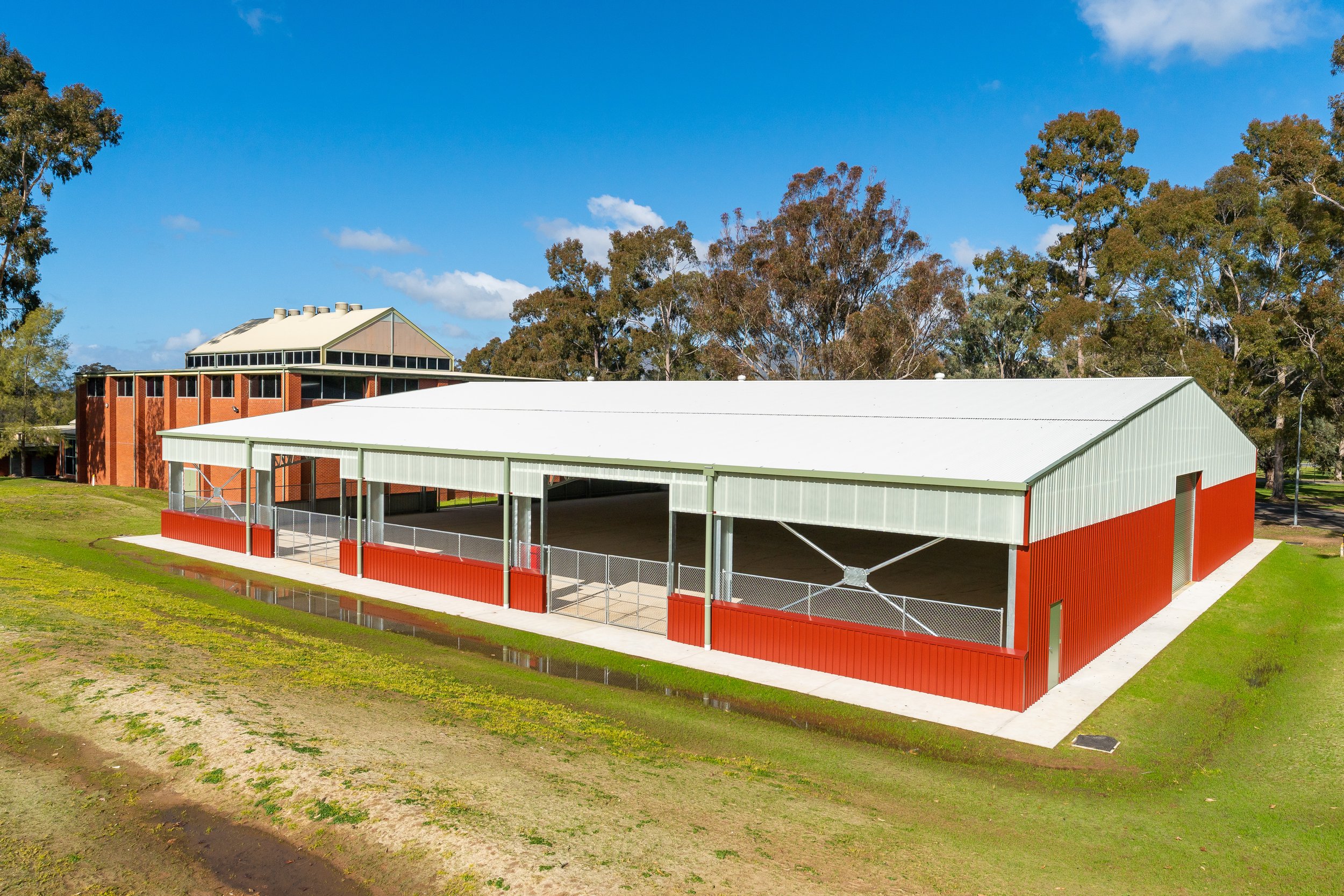 Peter Lloyd Buildster-09802.jpg