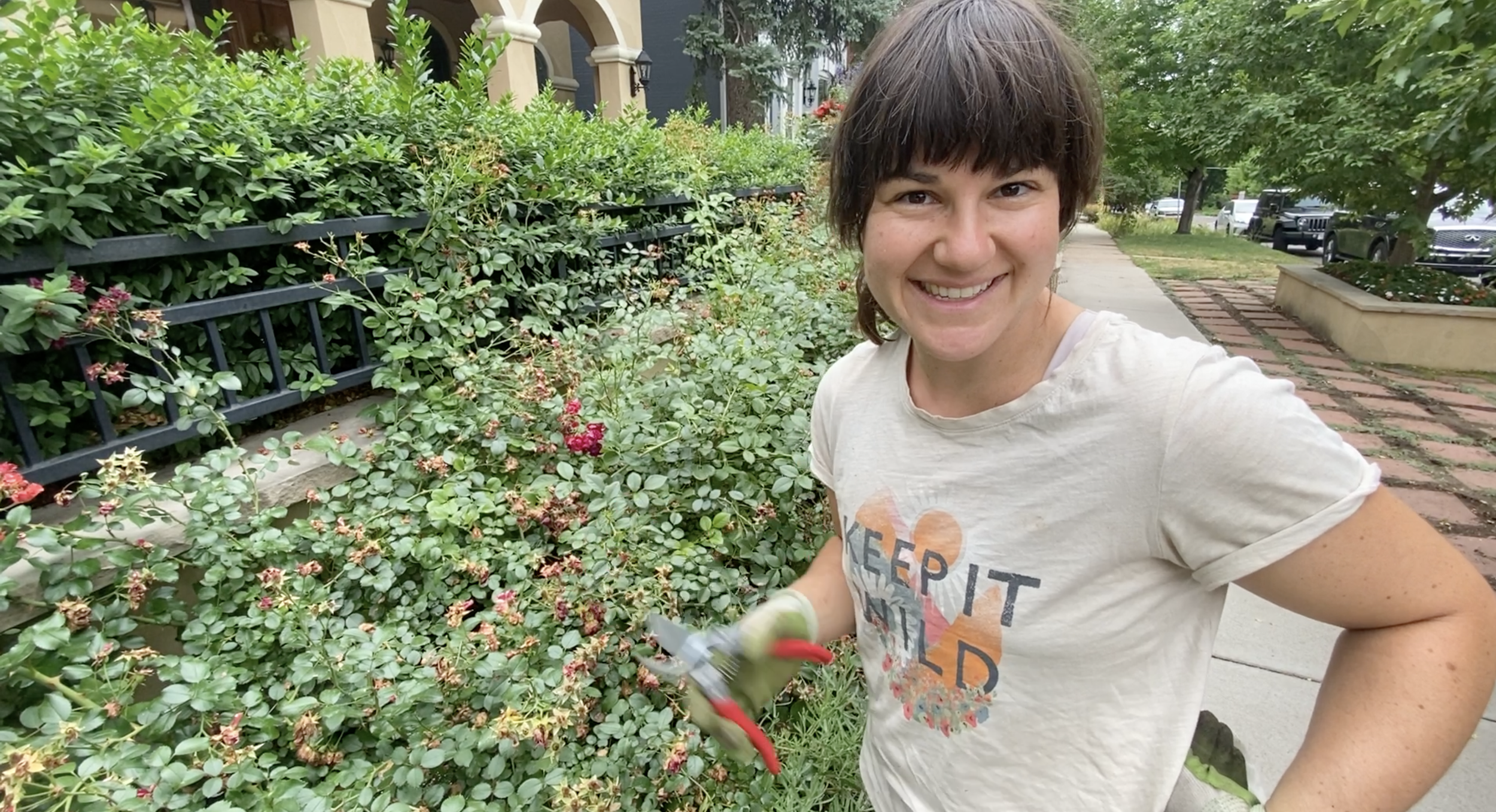 Screenshot 2024-01-05 at 3.04.32 PM.png