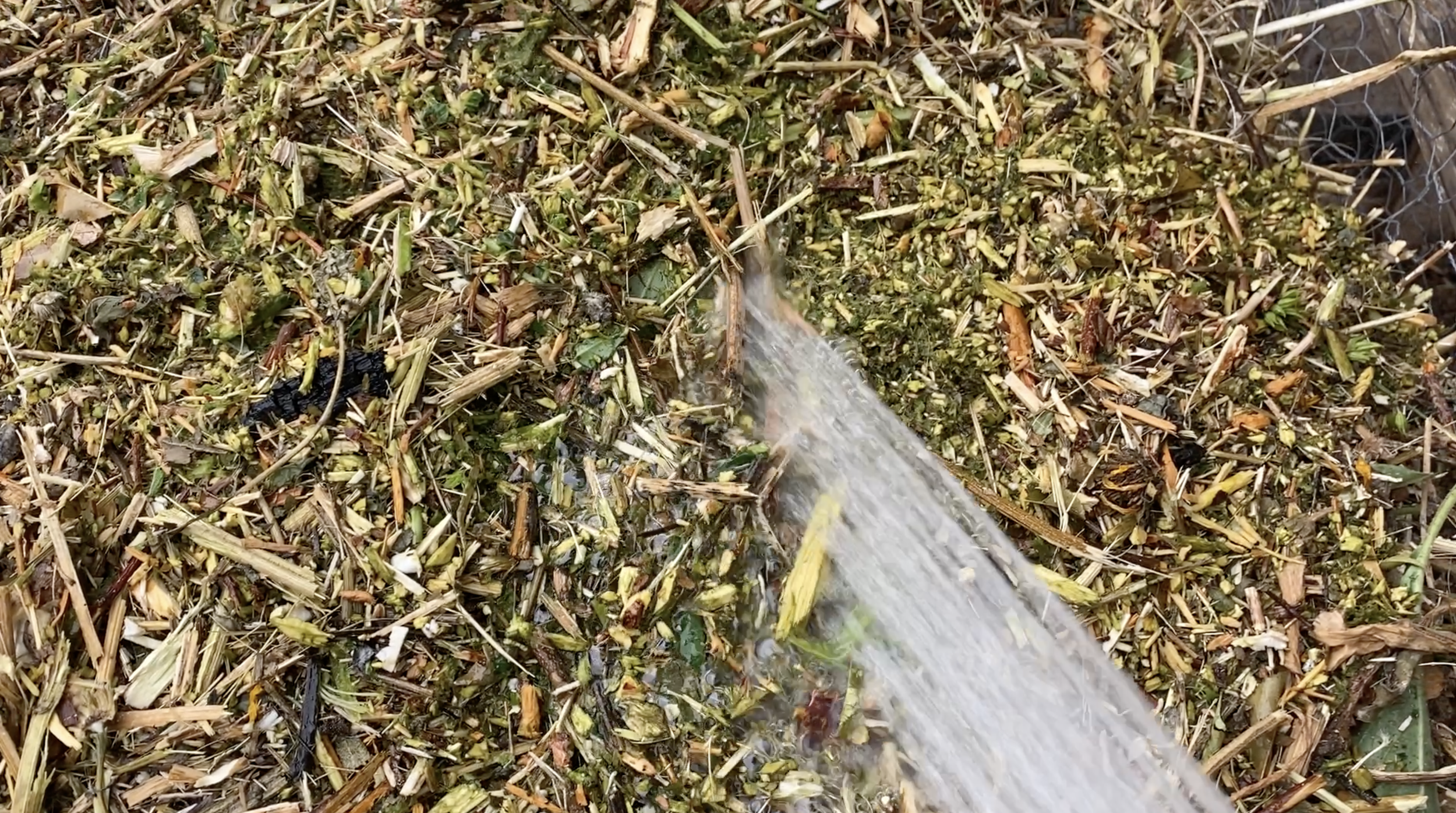 Screenshot 2024-01-05 at 3.33.43 PM.png