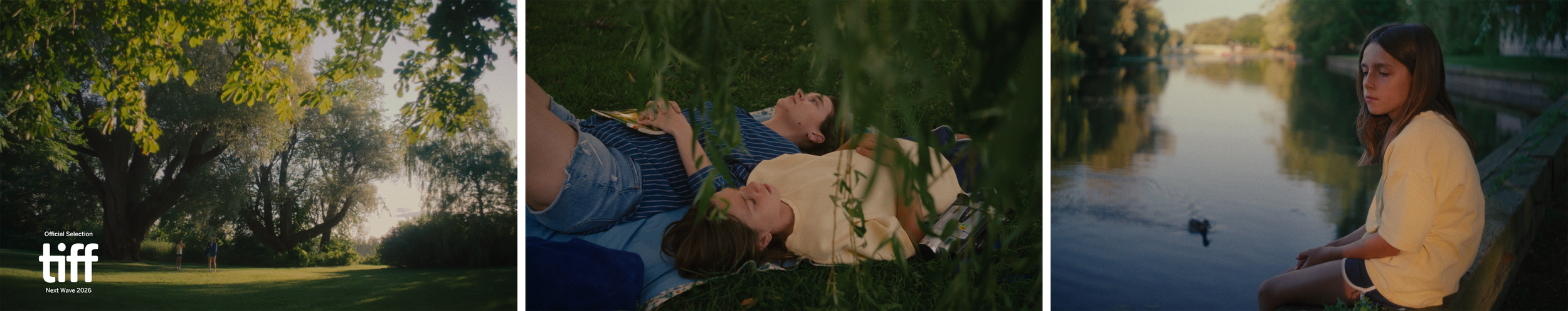 Vincent on the Island