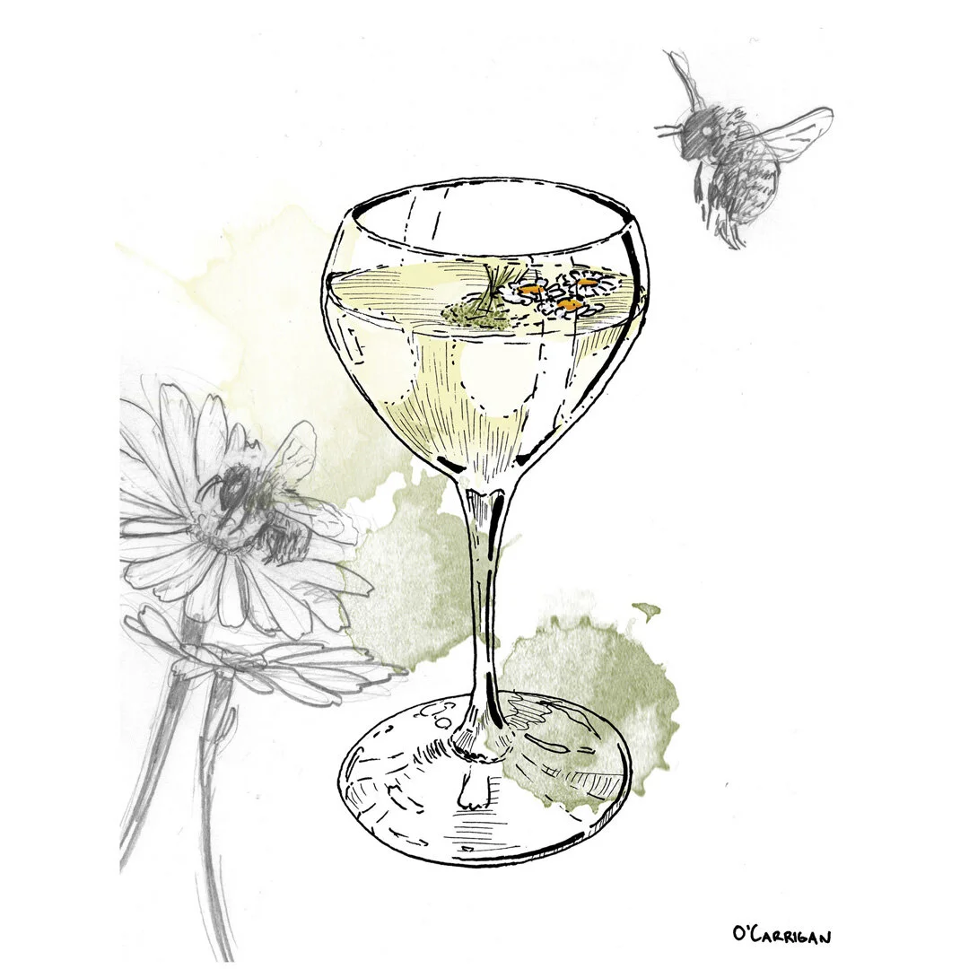 Cocktail Illustration