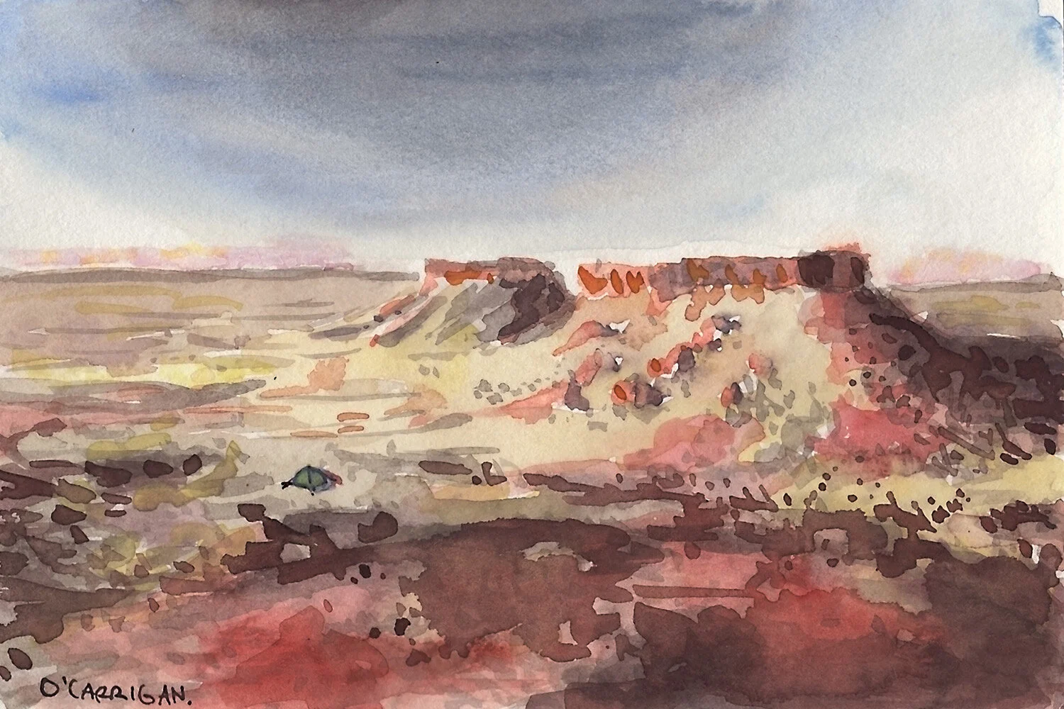 Western Queensland Landscpe. A private artwork commission completed in ink and watercolour by Simon O'Carrigan.