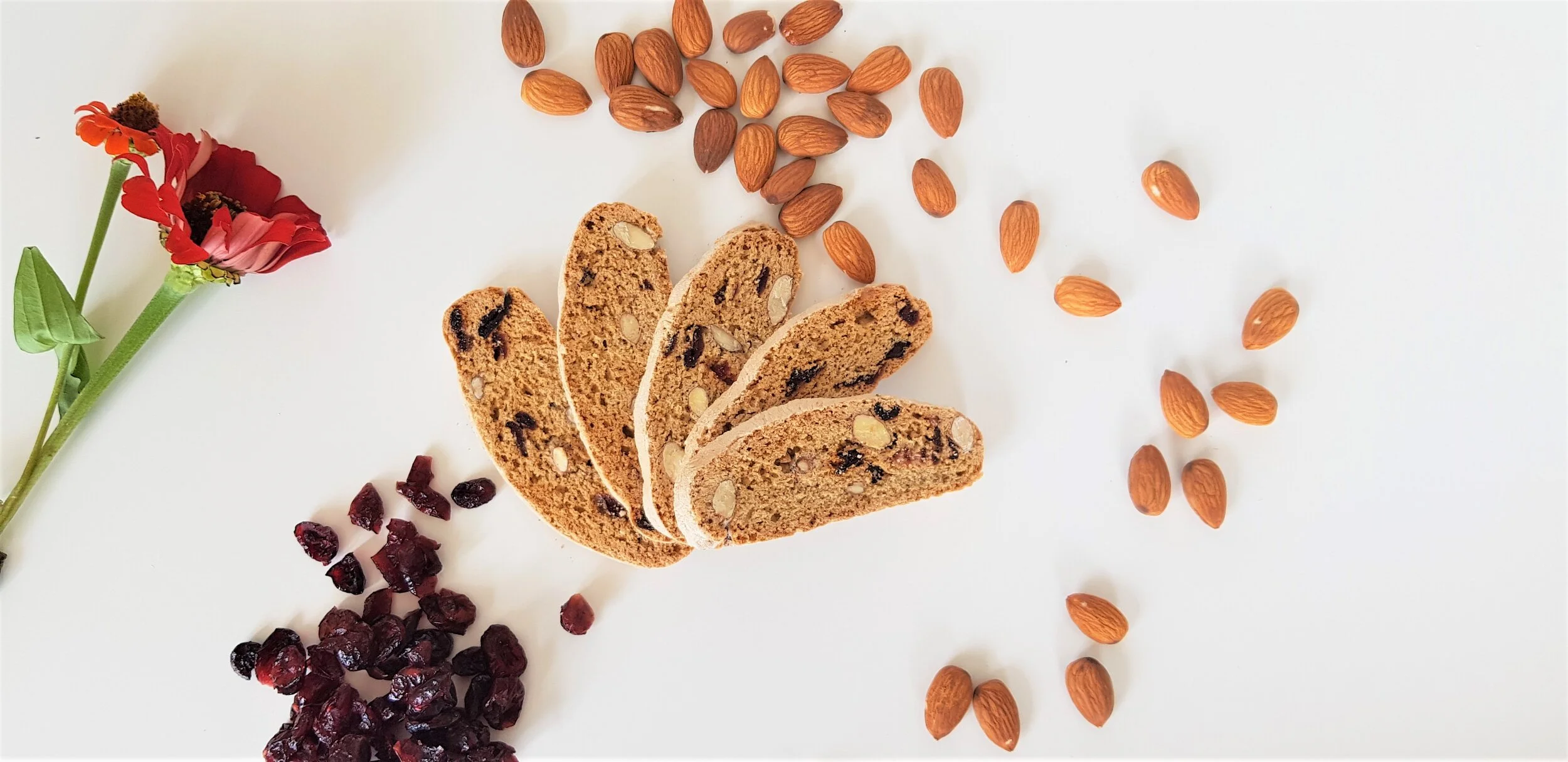 Gluten Free Almond and Cranberry Biscotti