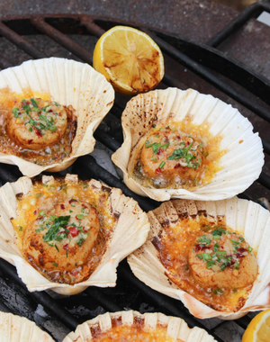 Scallops Shell Out Grilled Scallops in the Shell — Far West Scallops