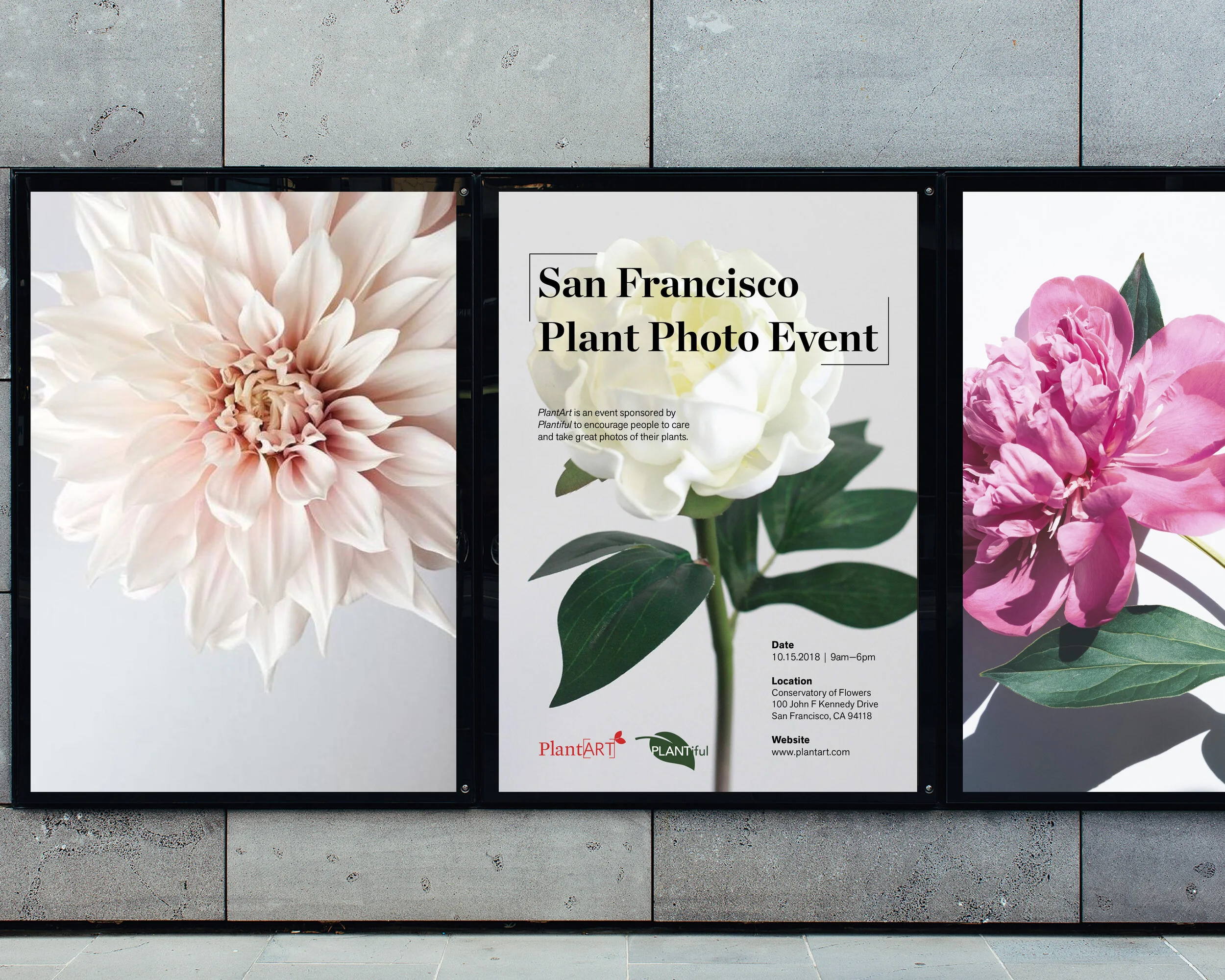 for website layout1.jpg