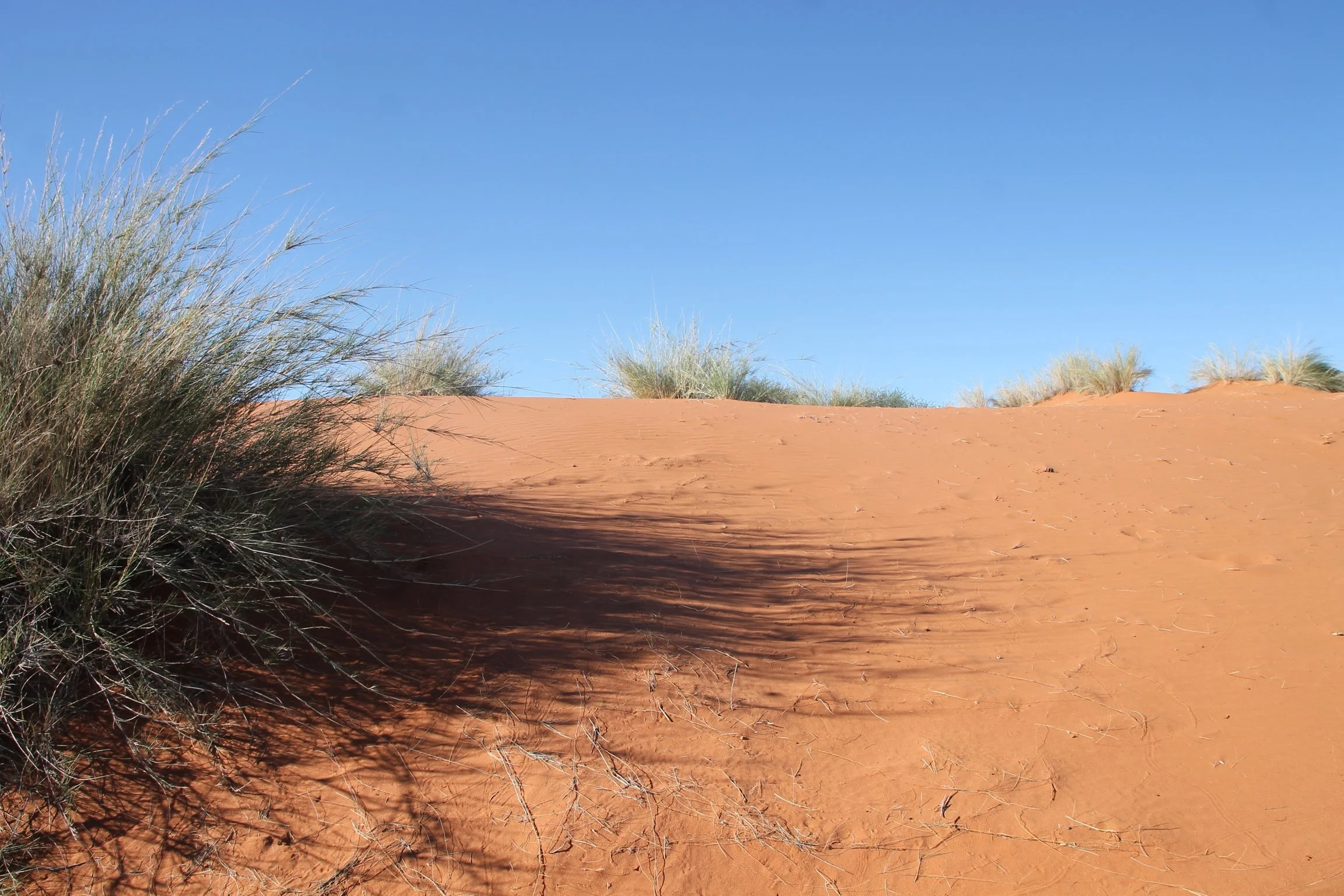 In der Wüste unerfüllter Sehnsucht