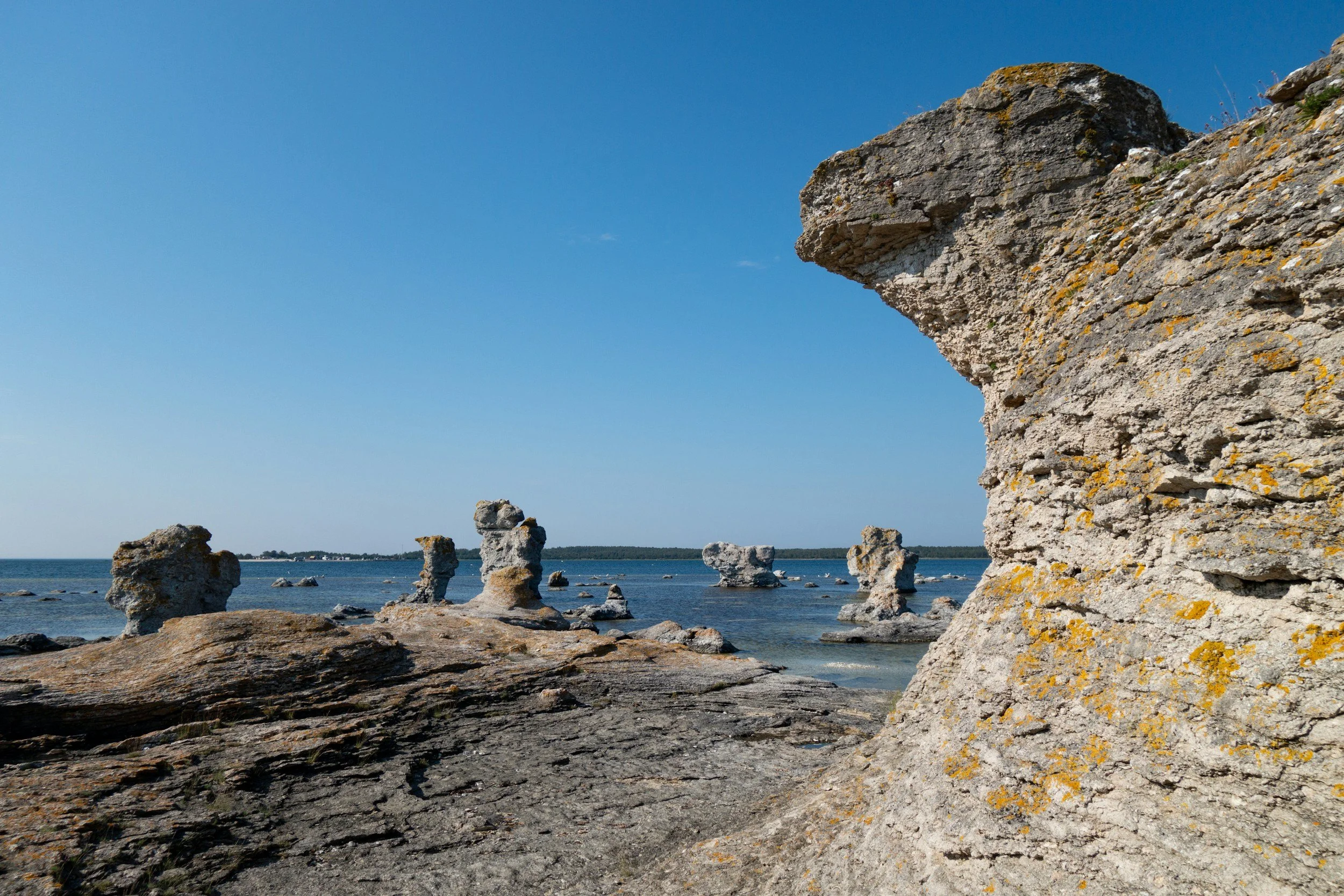 26/6 Sveriges innovationsförmåga, hur vi systematiskt stärker den - Science Park Gotland