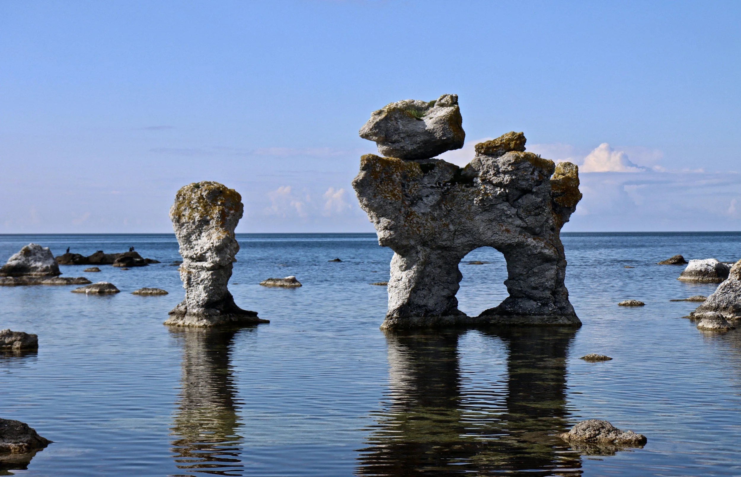 unsplash-image-Fp5vZf6uU8A.jpg
