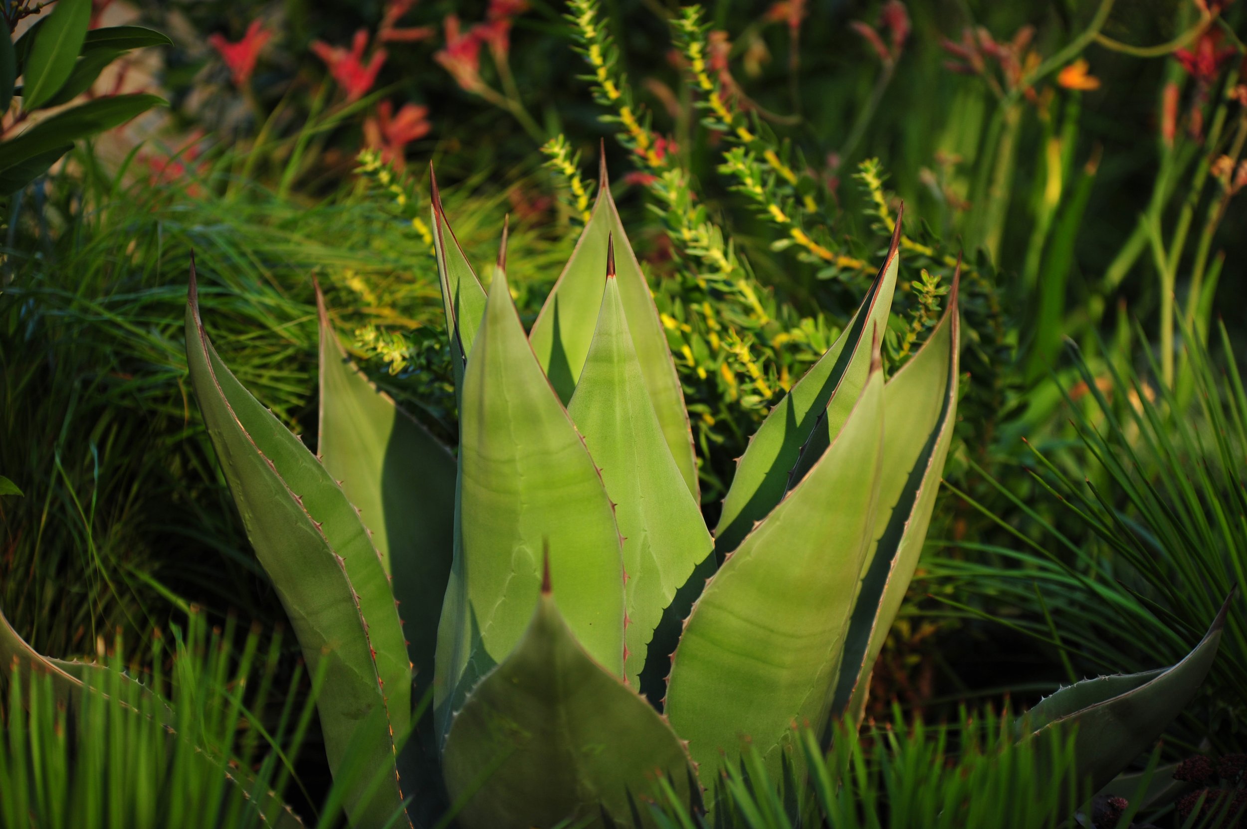 Landscaping_Architecture_014.jpg