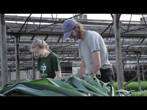 Plantfulness FareShare Harvest