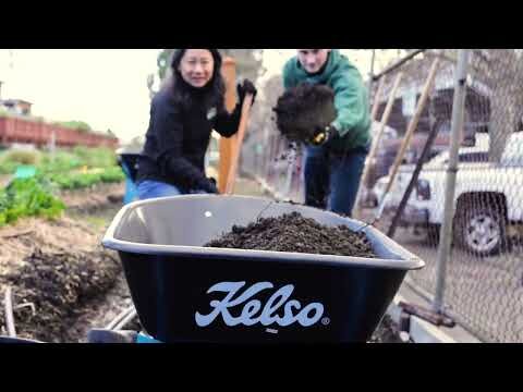 Plantfulness FareShare Abbotsford Harvest