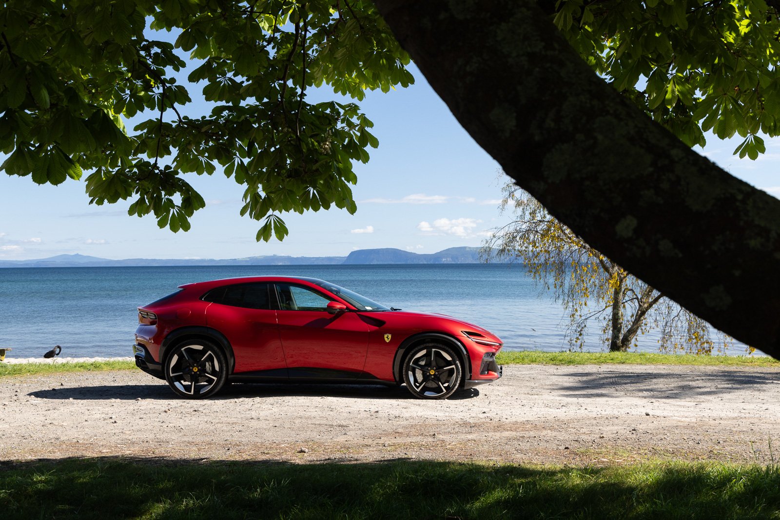 Ferrari Purosangue_Rosso Portofino_0053_WEB.jpg