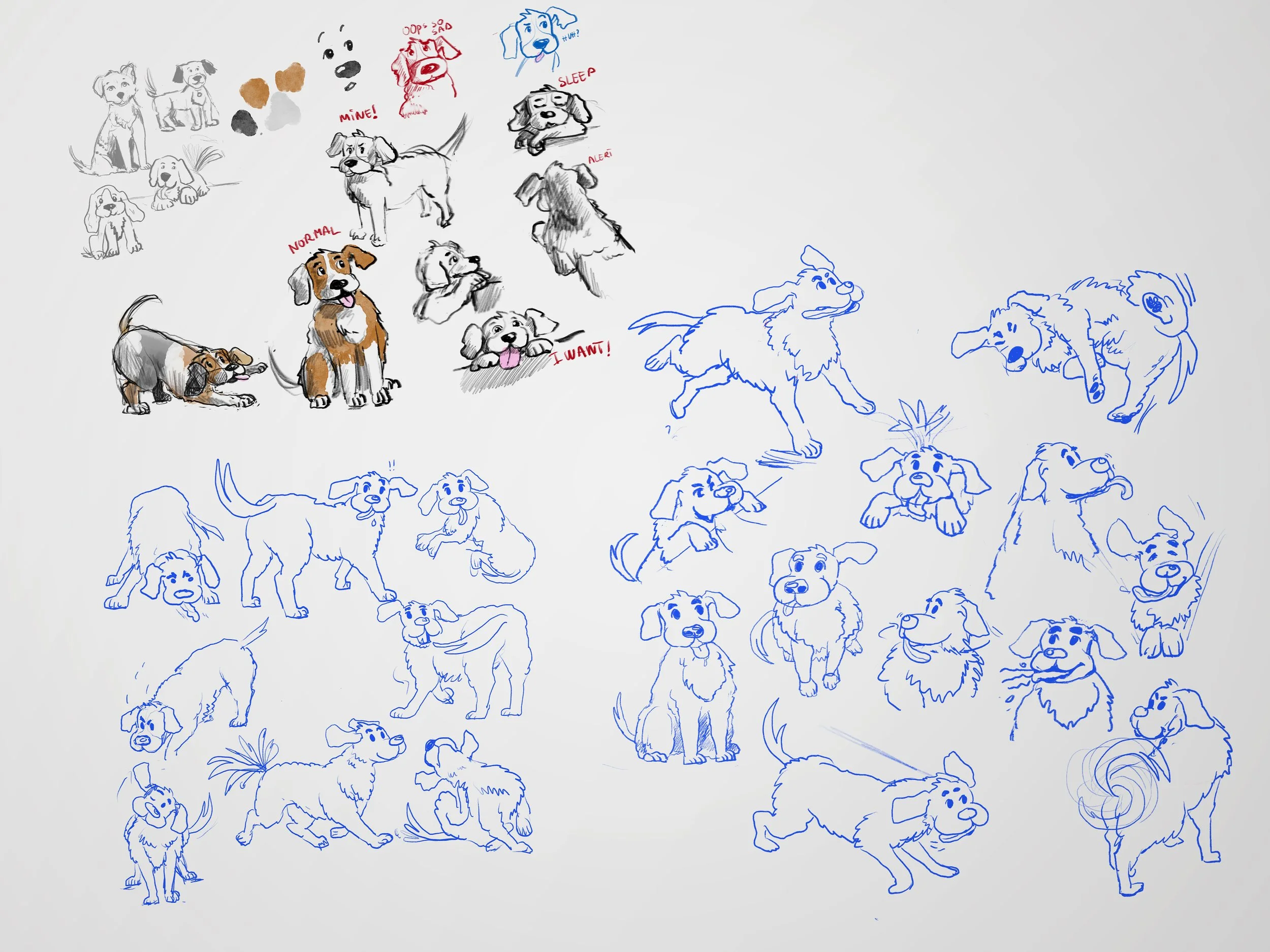 Sketches.jpg