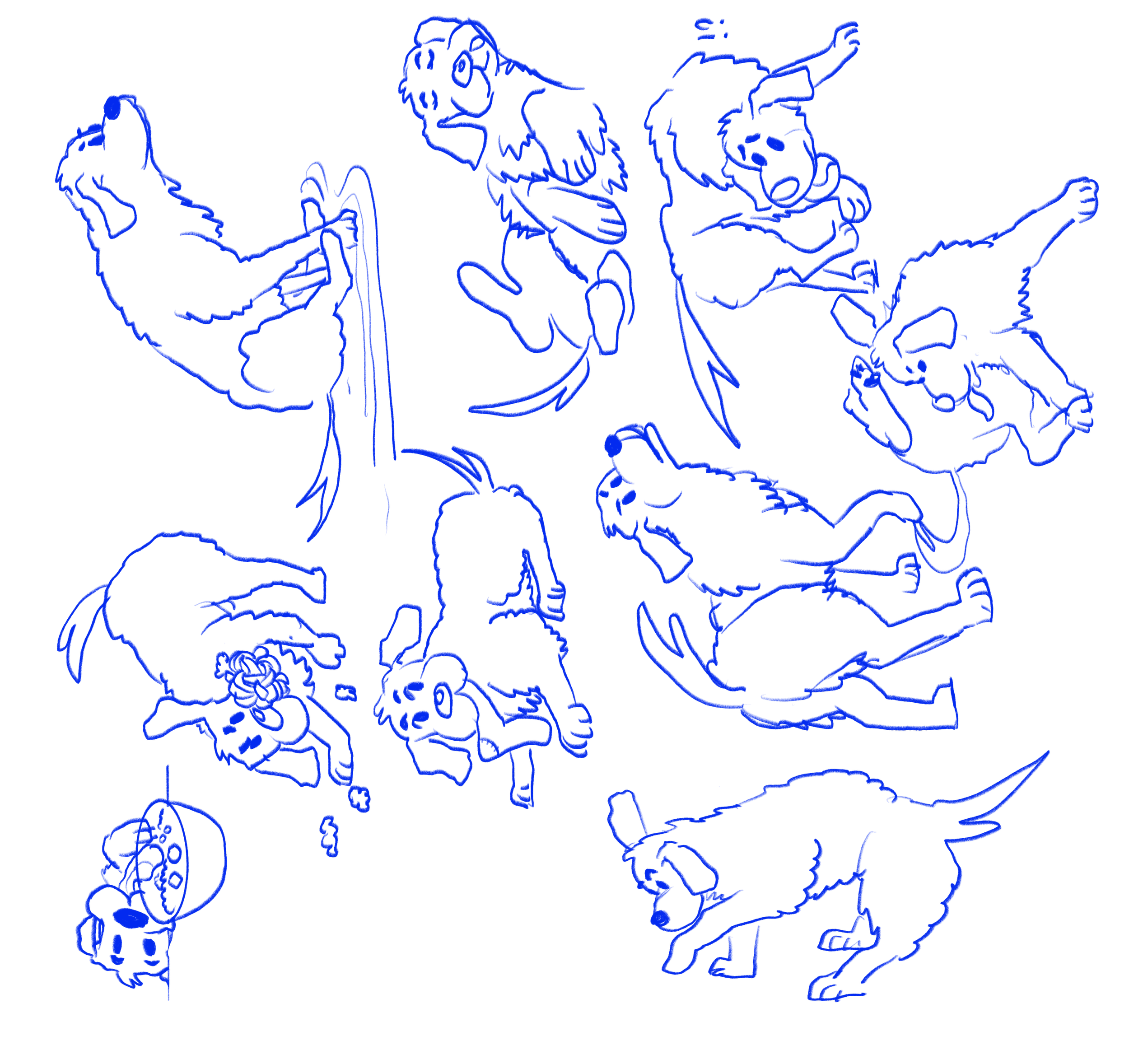 dog_consistency_copy.3.png