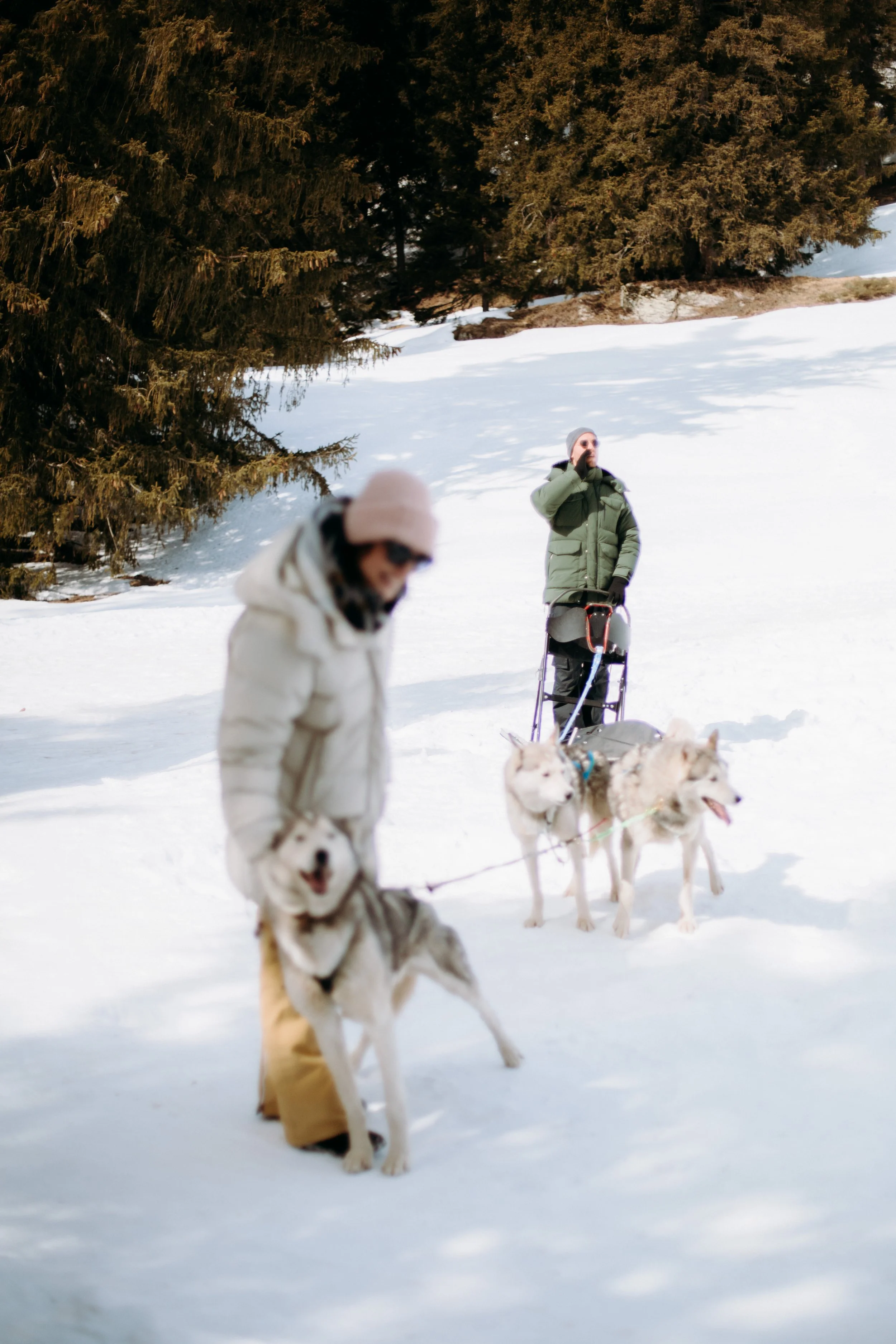 ELIANO DAVIDE1651.jpg