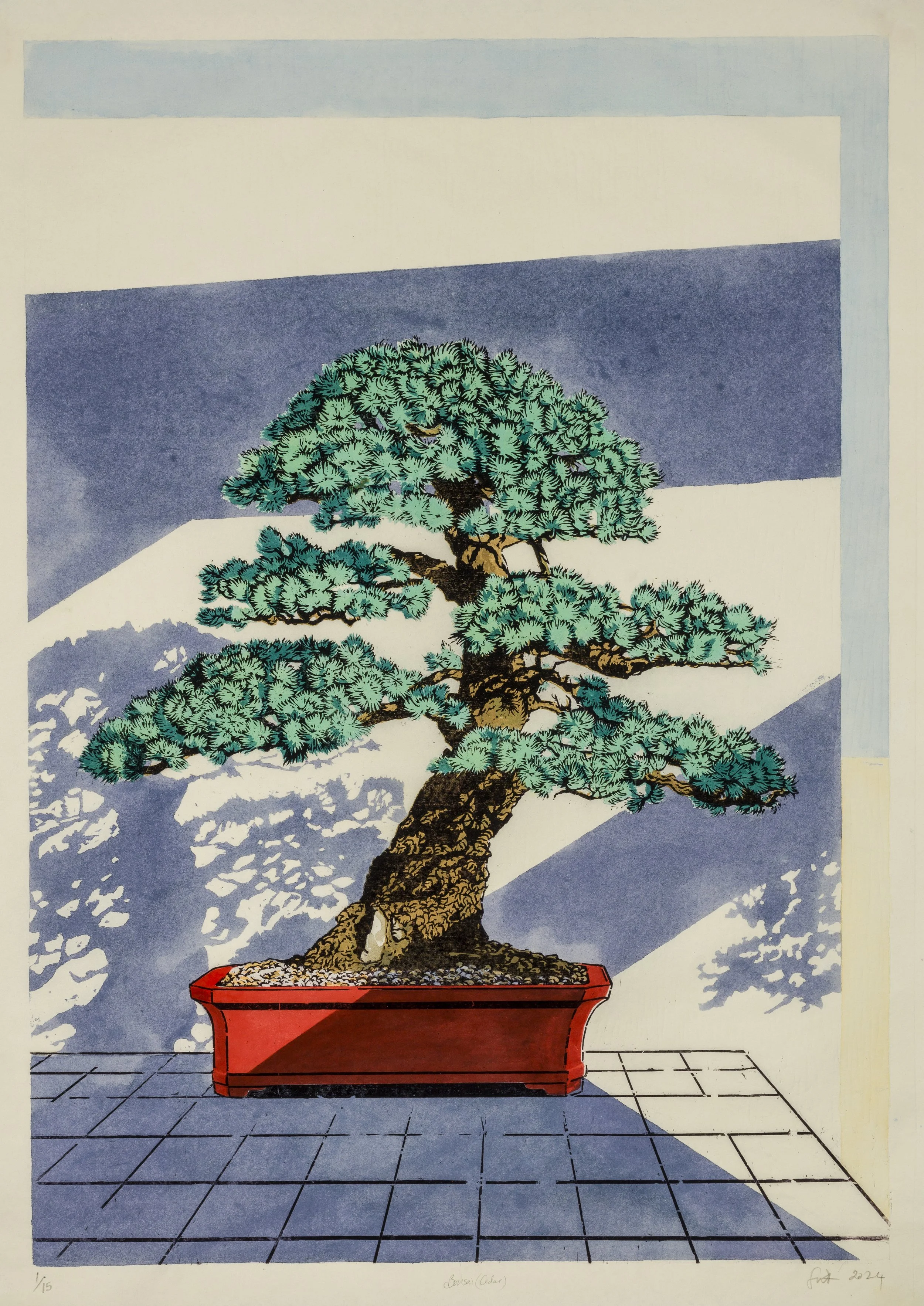 Felicity Warbrick  
Bonsai (Cedar)  
Woodcut on painted Japanese Kozo paper 
Image size 55 x 78 cm 
Paper size 59 x 82 cm 
Edition of 15 
Framed size 69 x 92 cm 
£ 950