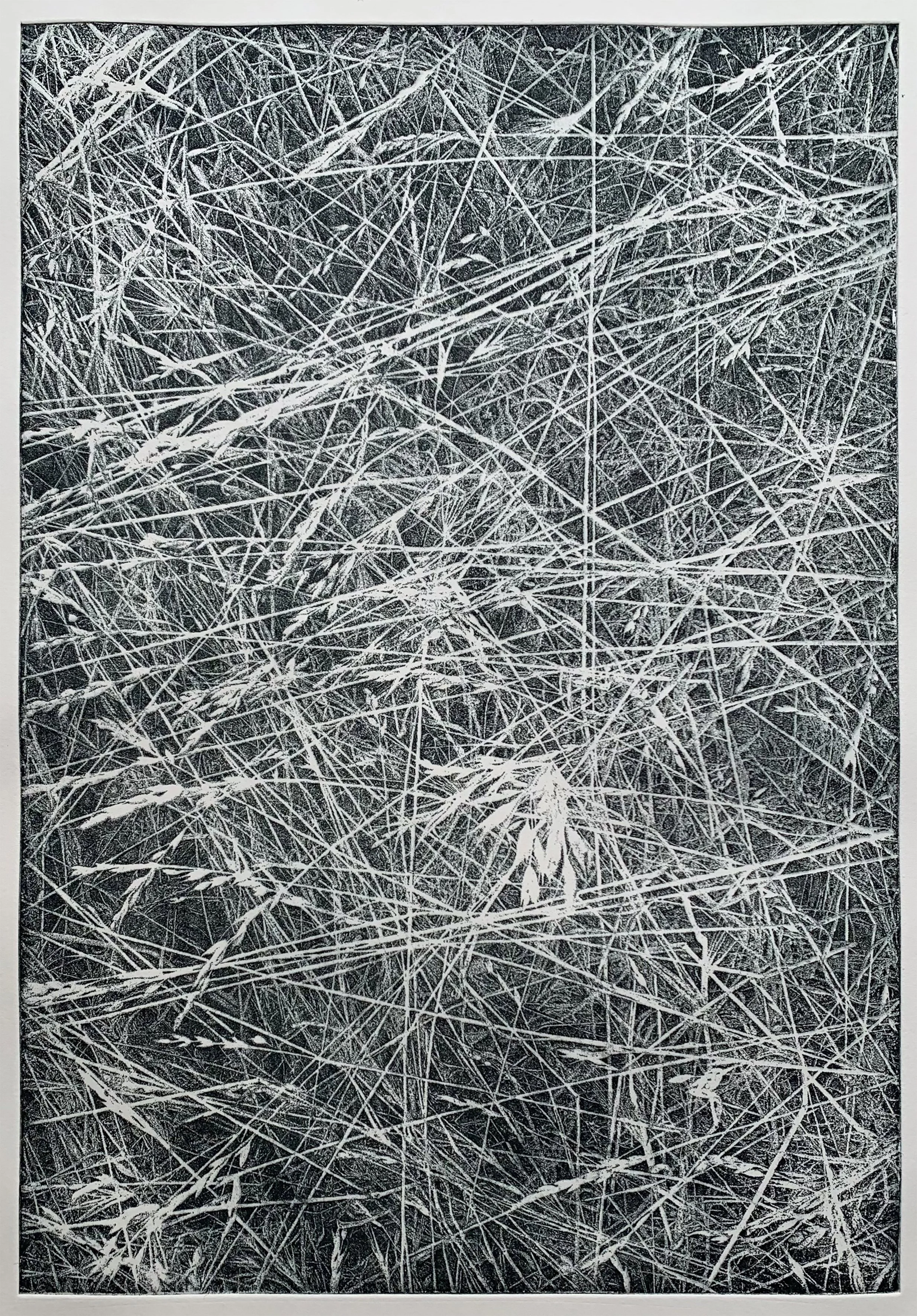 Wai Wong 
The Eternity of Ephemerality 
Hard Ground Etching 
Paper 67 x 47 cm 
Image 41.5 x 28.5 cm  
Edition 10 
£ 400 unframed 
£ 550 framed