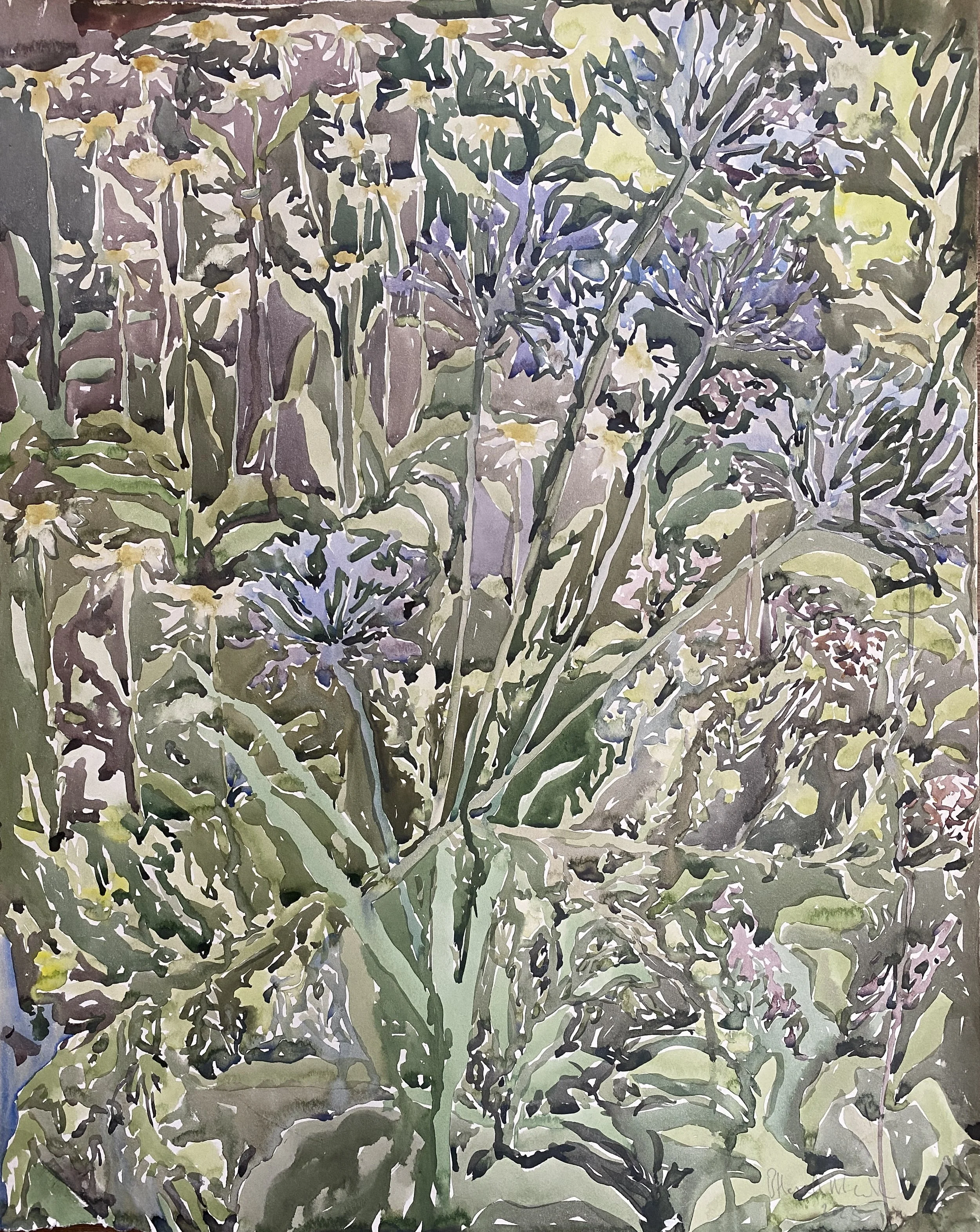Alliums and Daisies,