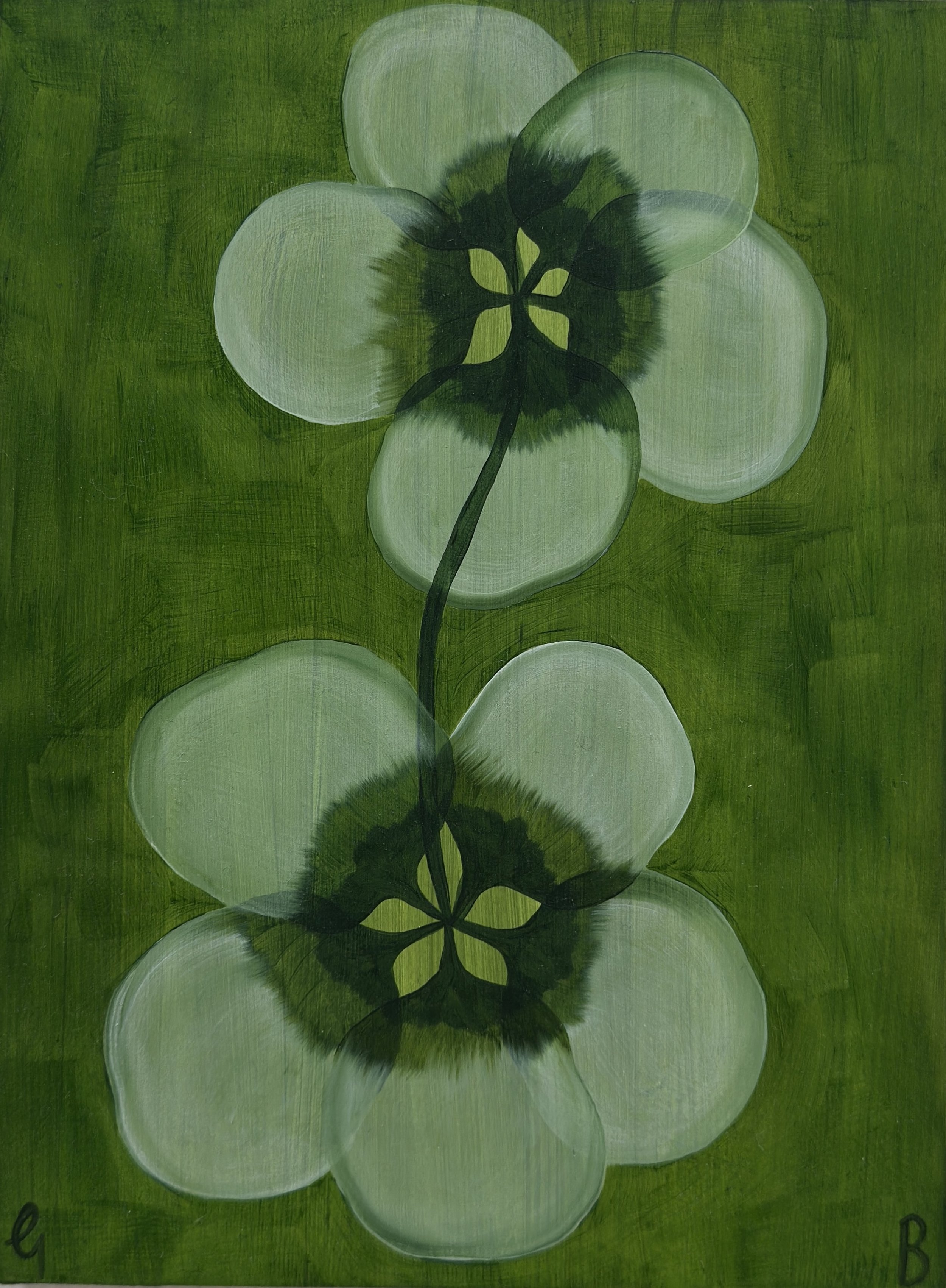 Buttercup_2026.jpg